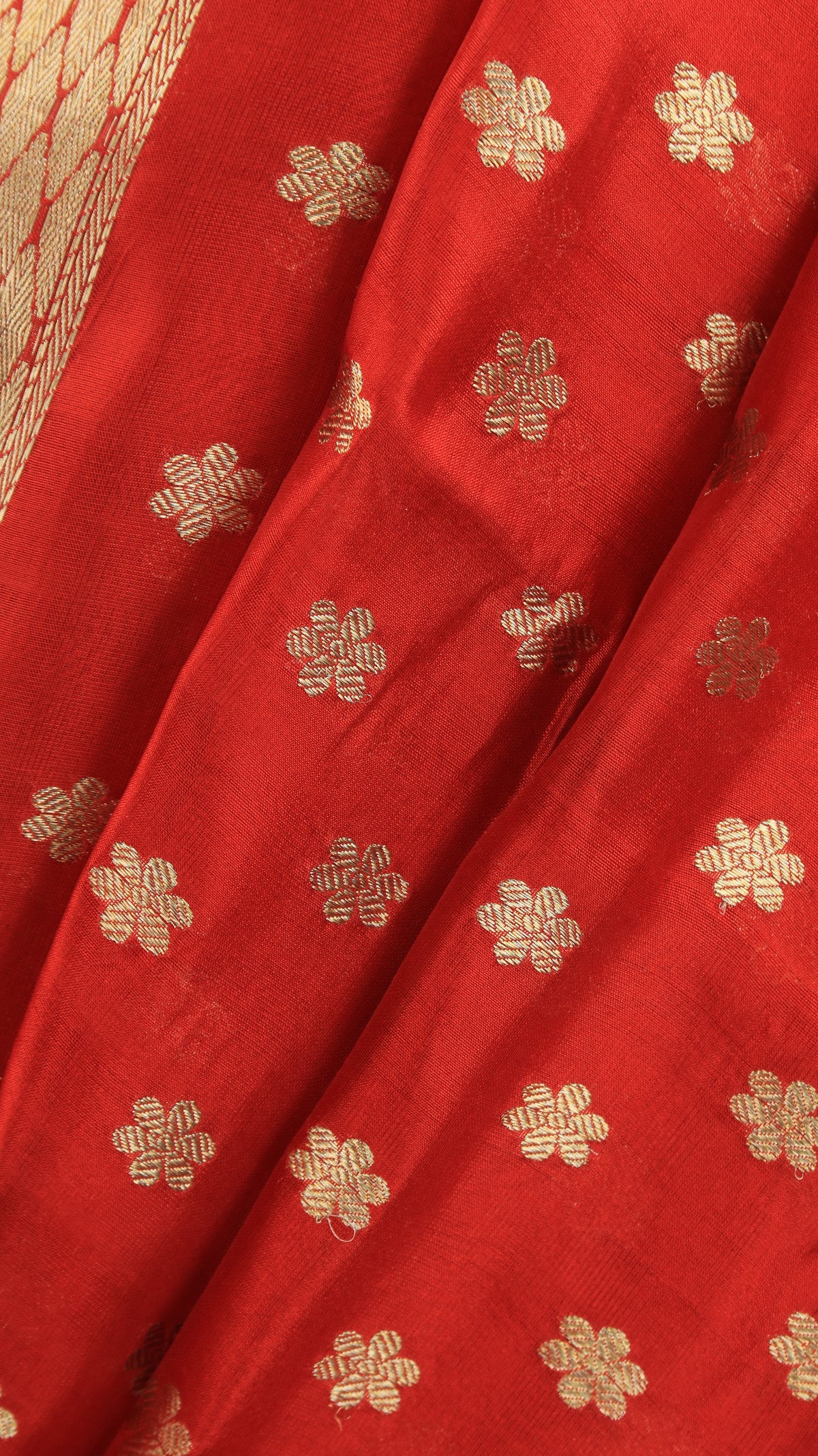 Shonima | Chanderi