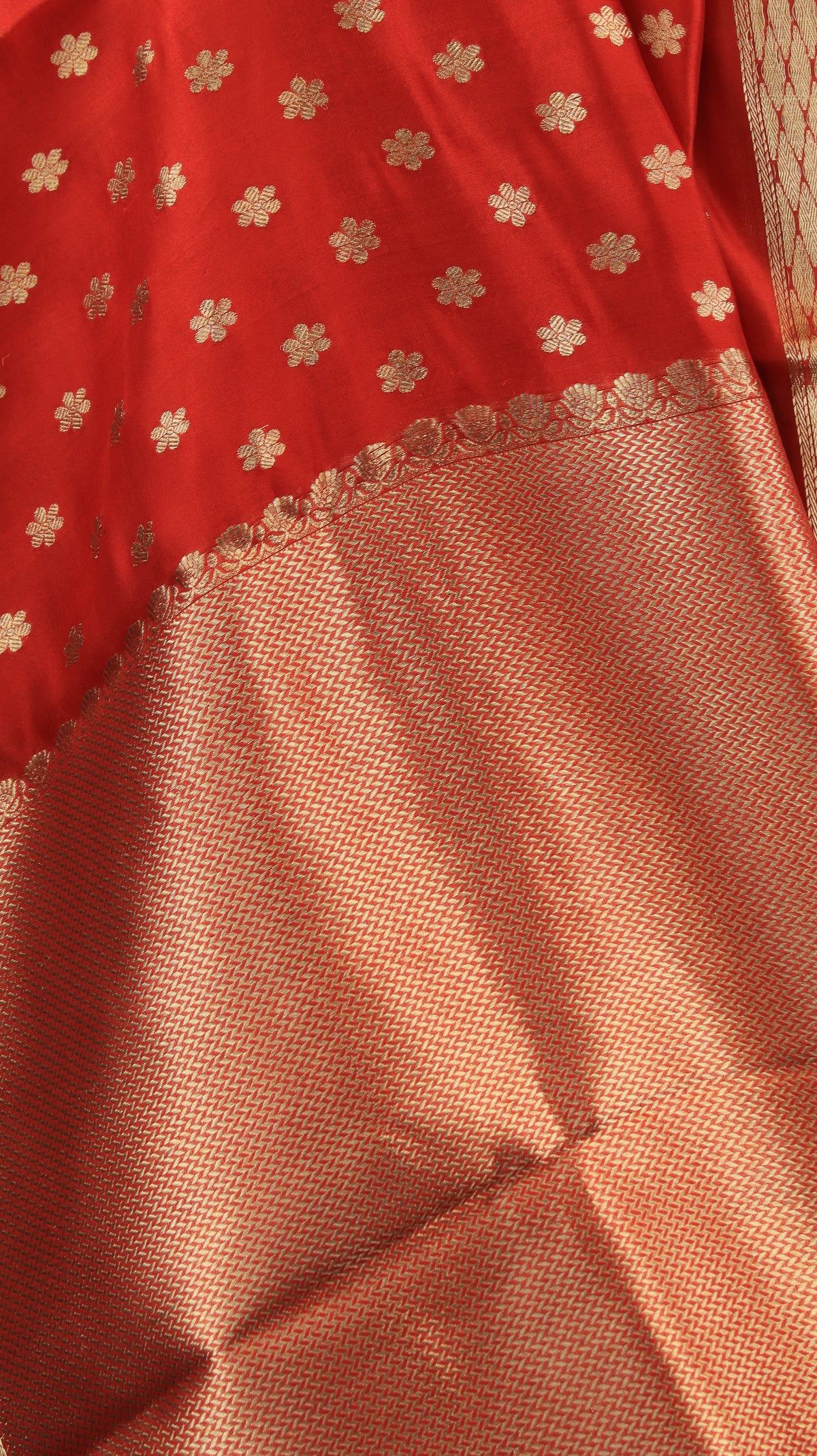 Shonima | Chanderi