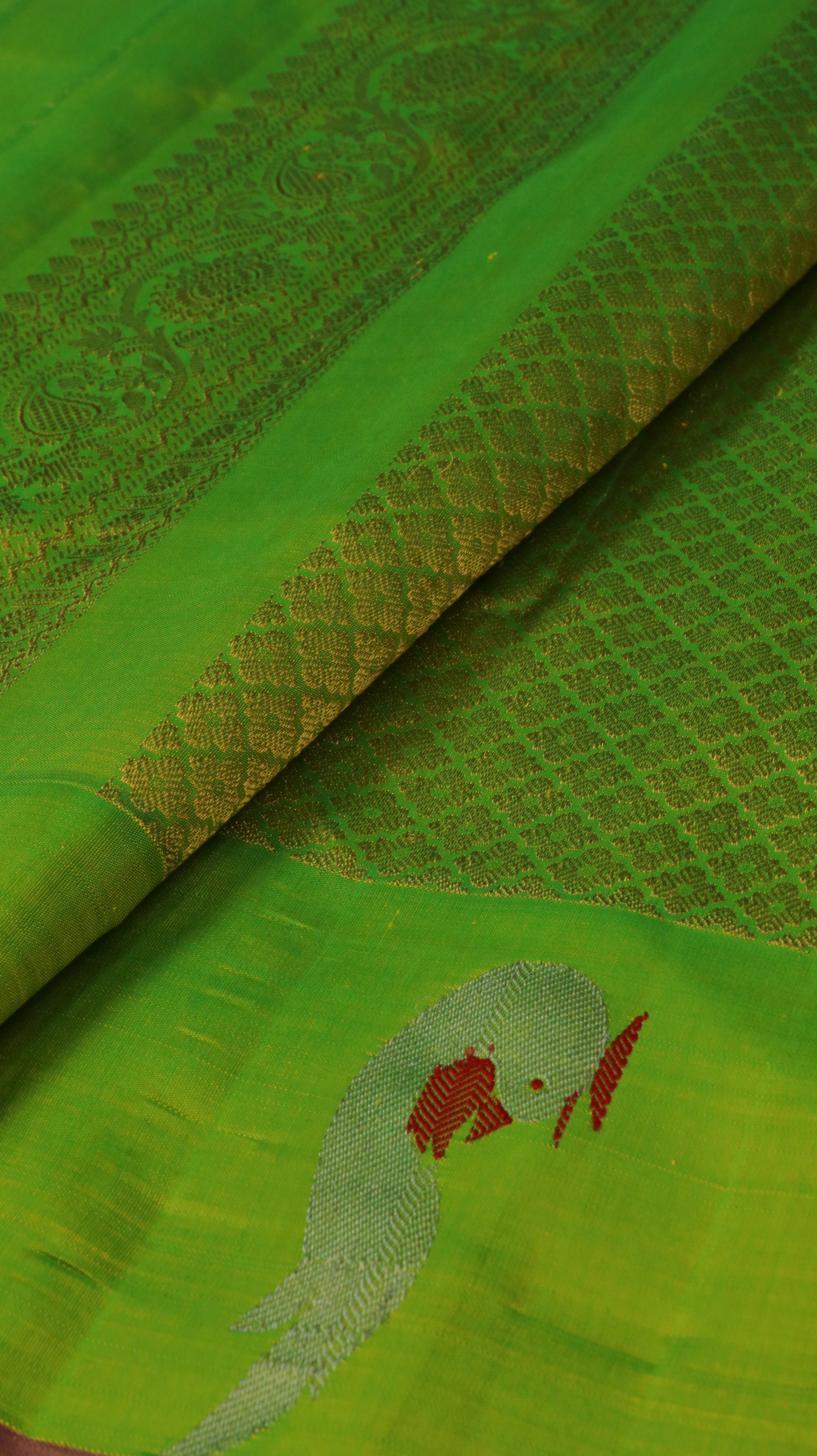 Twilight Fern | Gadwal
