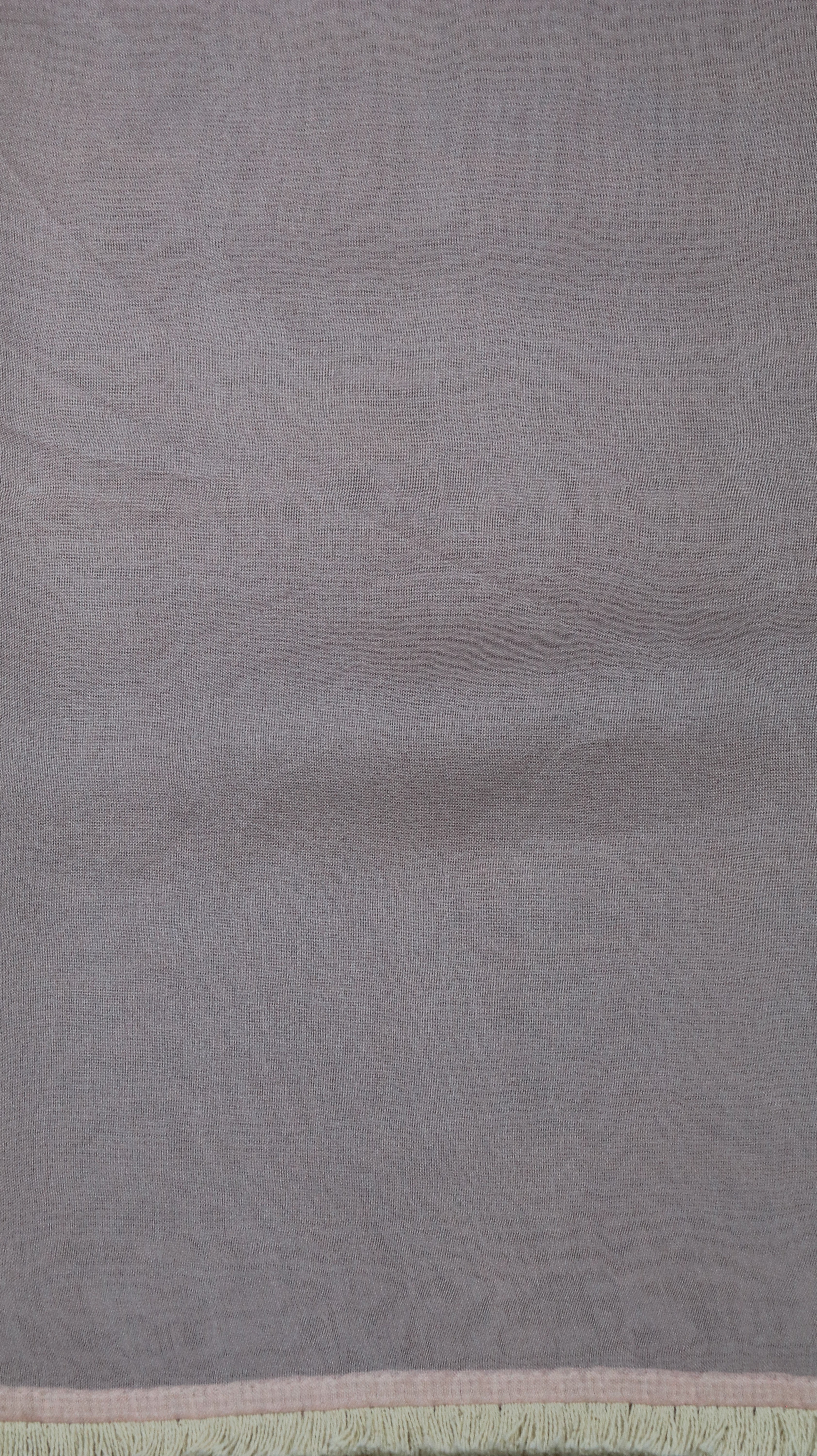 Gulnaar Vaayu | Organza
