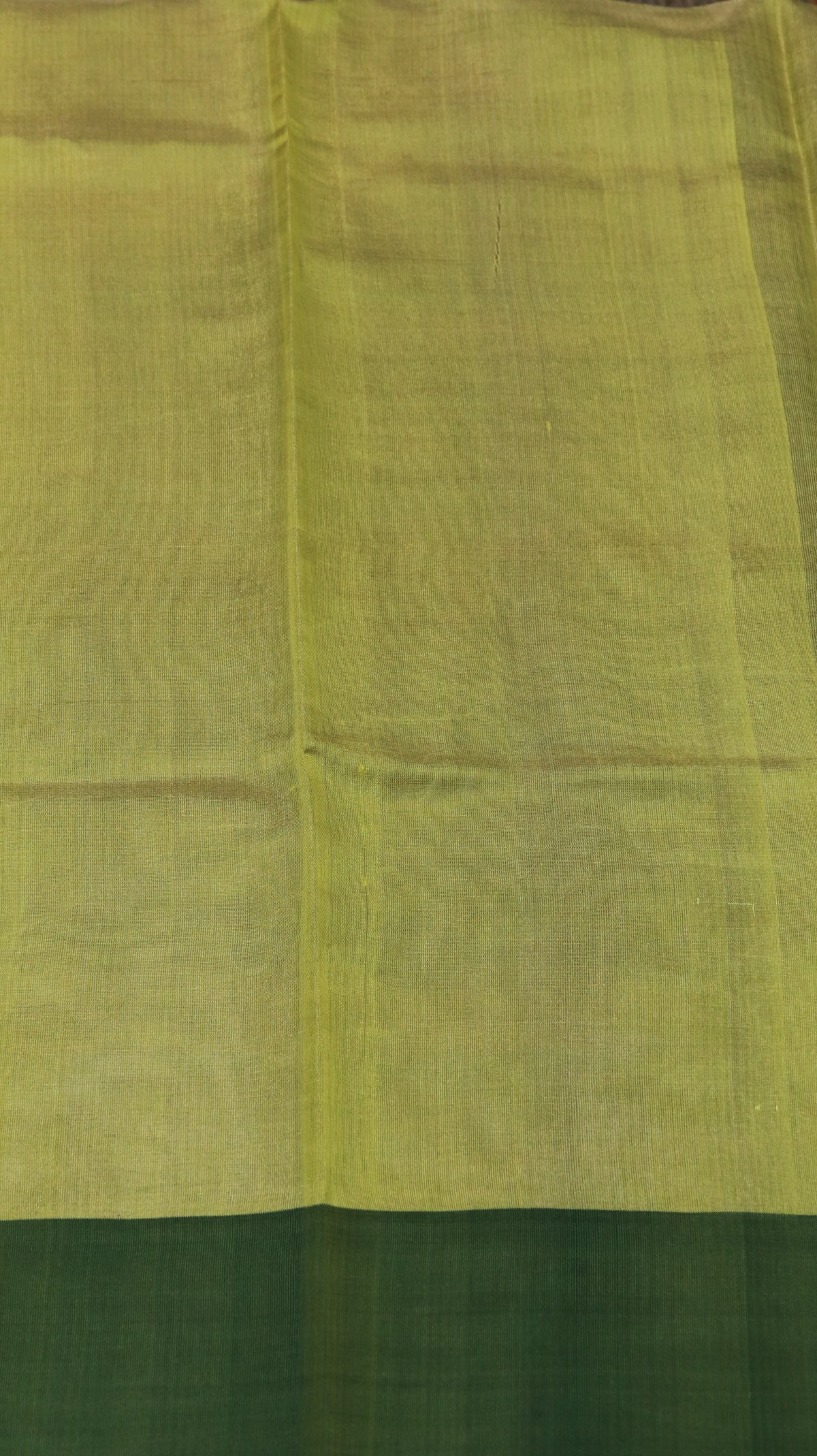 Amrapali | Chanderi