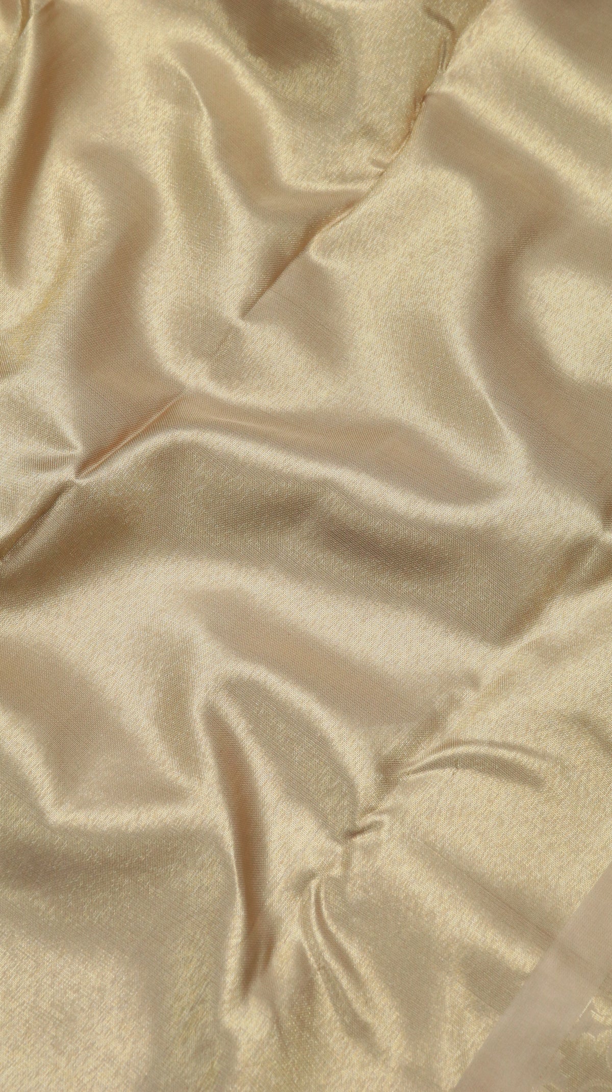 Golden Dune | Kanjivaram