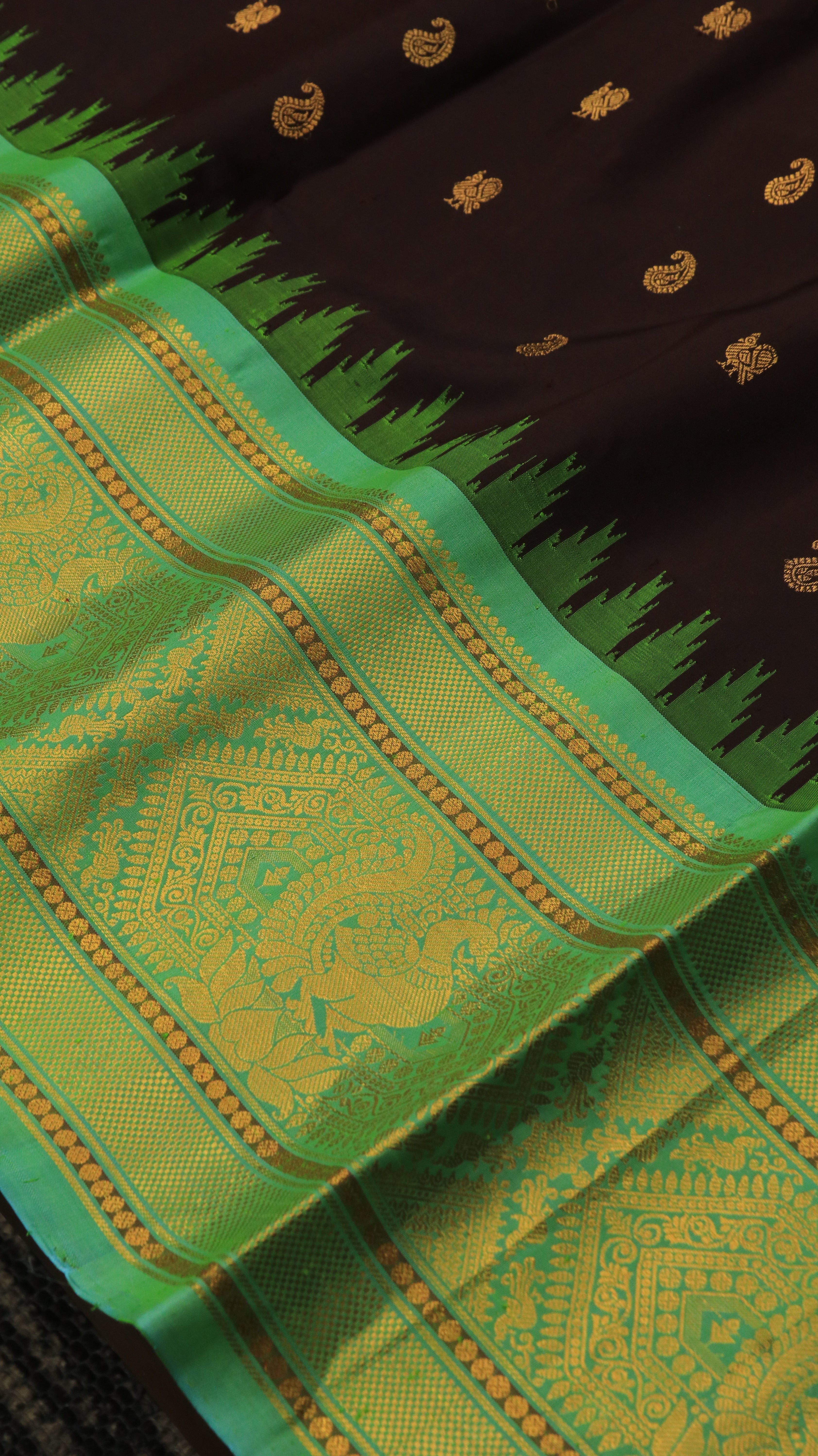 Vanashree Noir | Gadwal