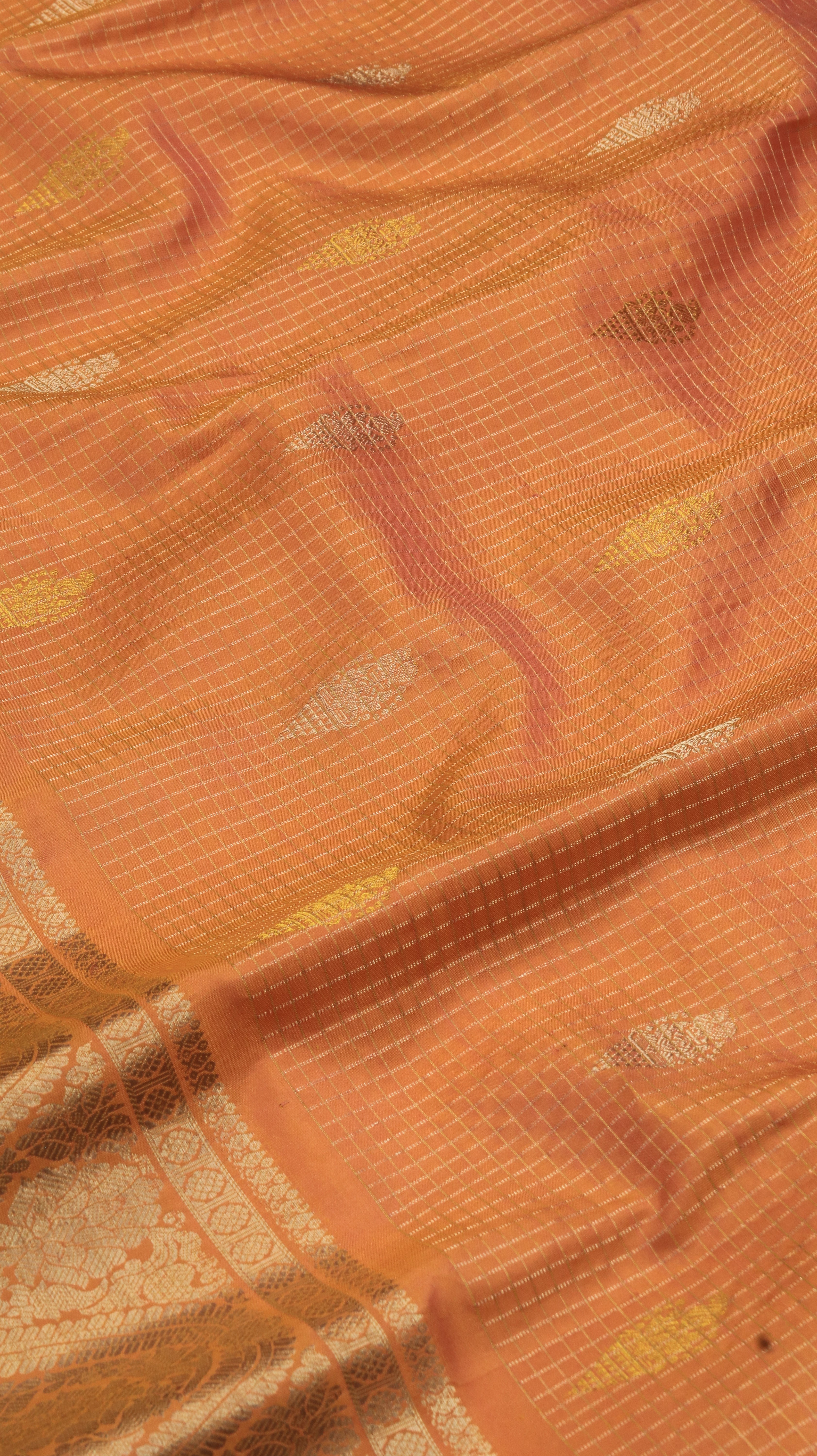 Apricot Empress | Gadwal