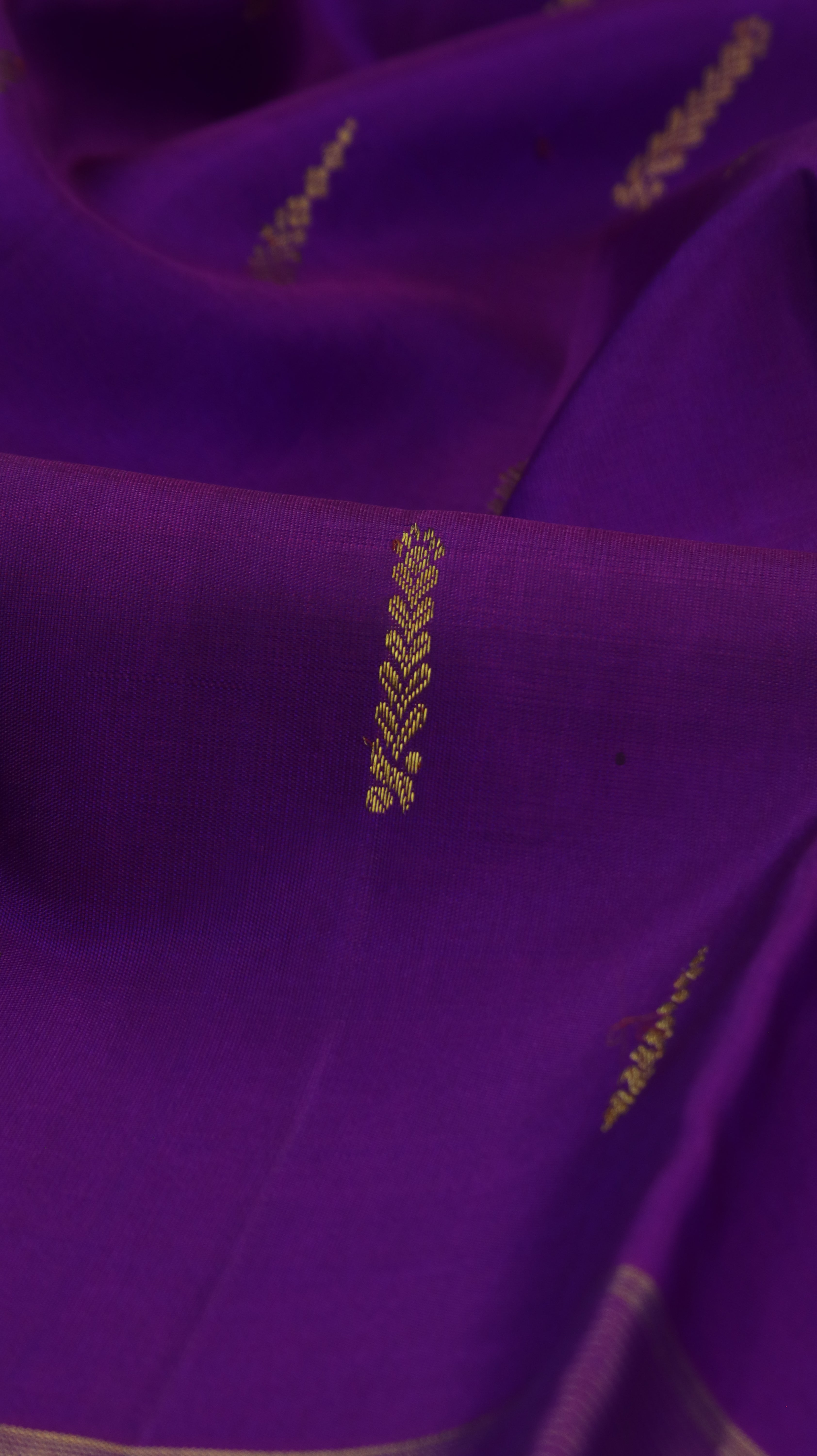 Lavanya Veena | Kanjivaram