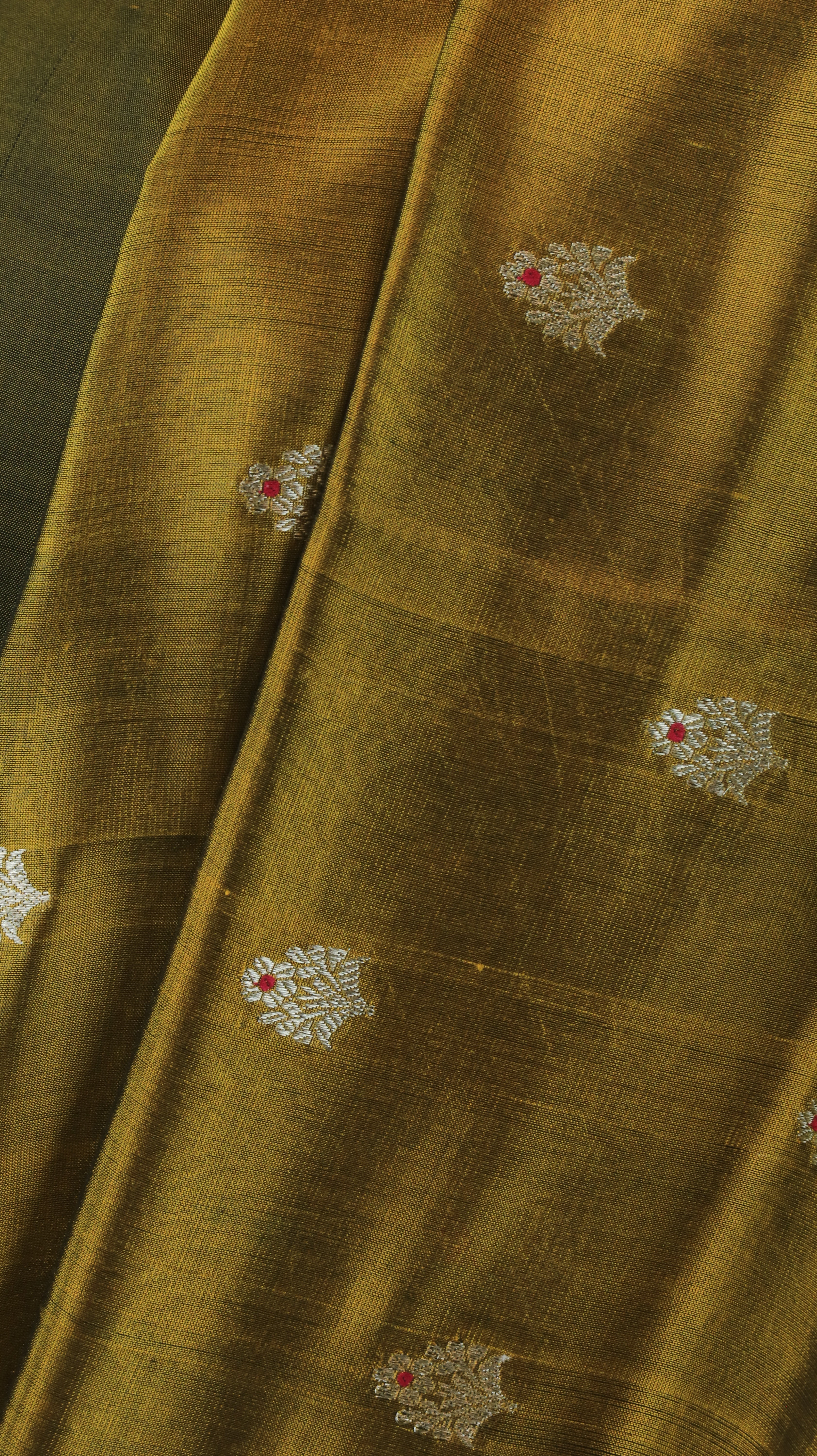Hari Vasanta | Chanderi