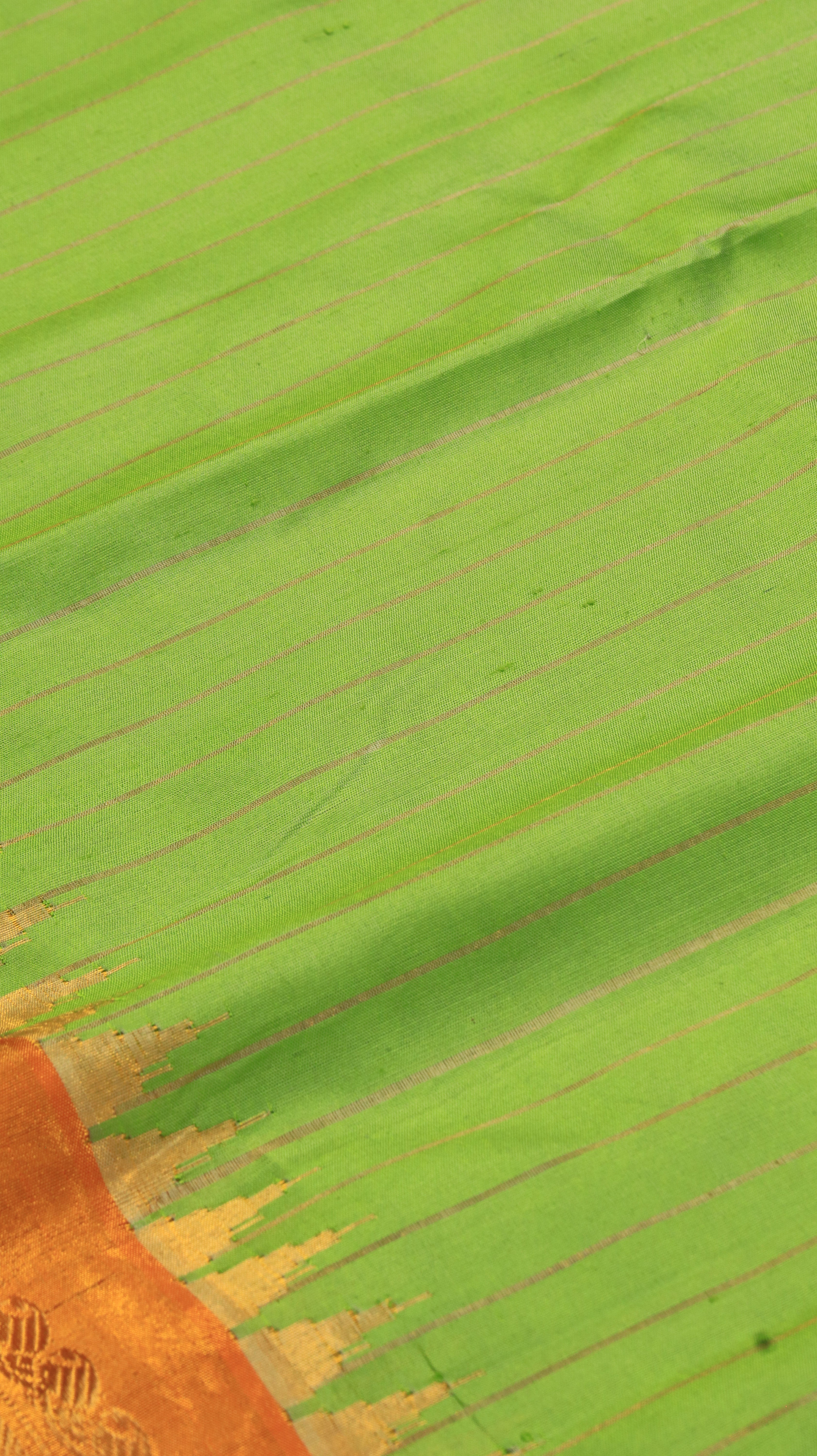 Parrot Aurelia | Gadwal