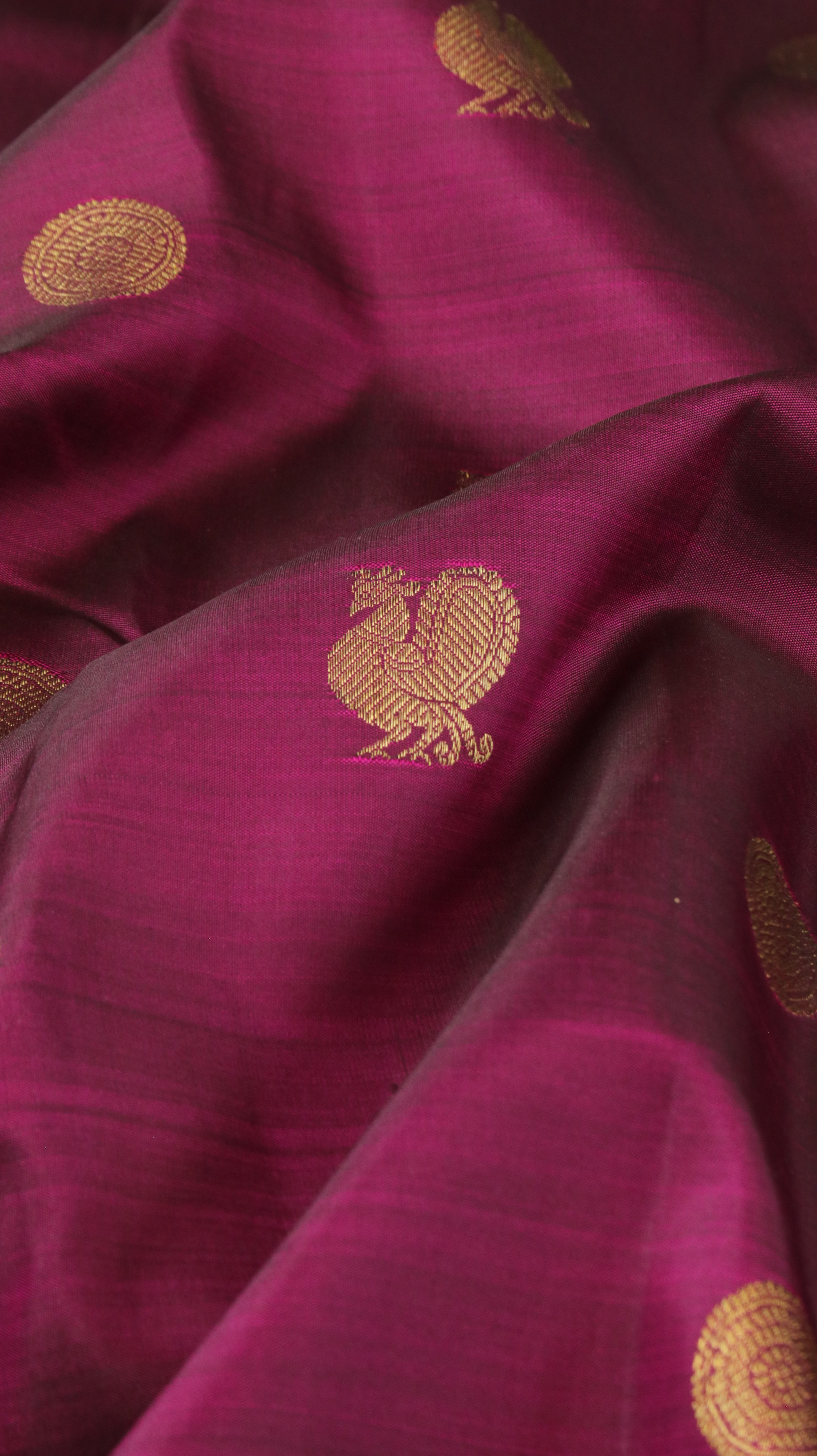 Peacock Plum | Kanjivaram