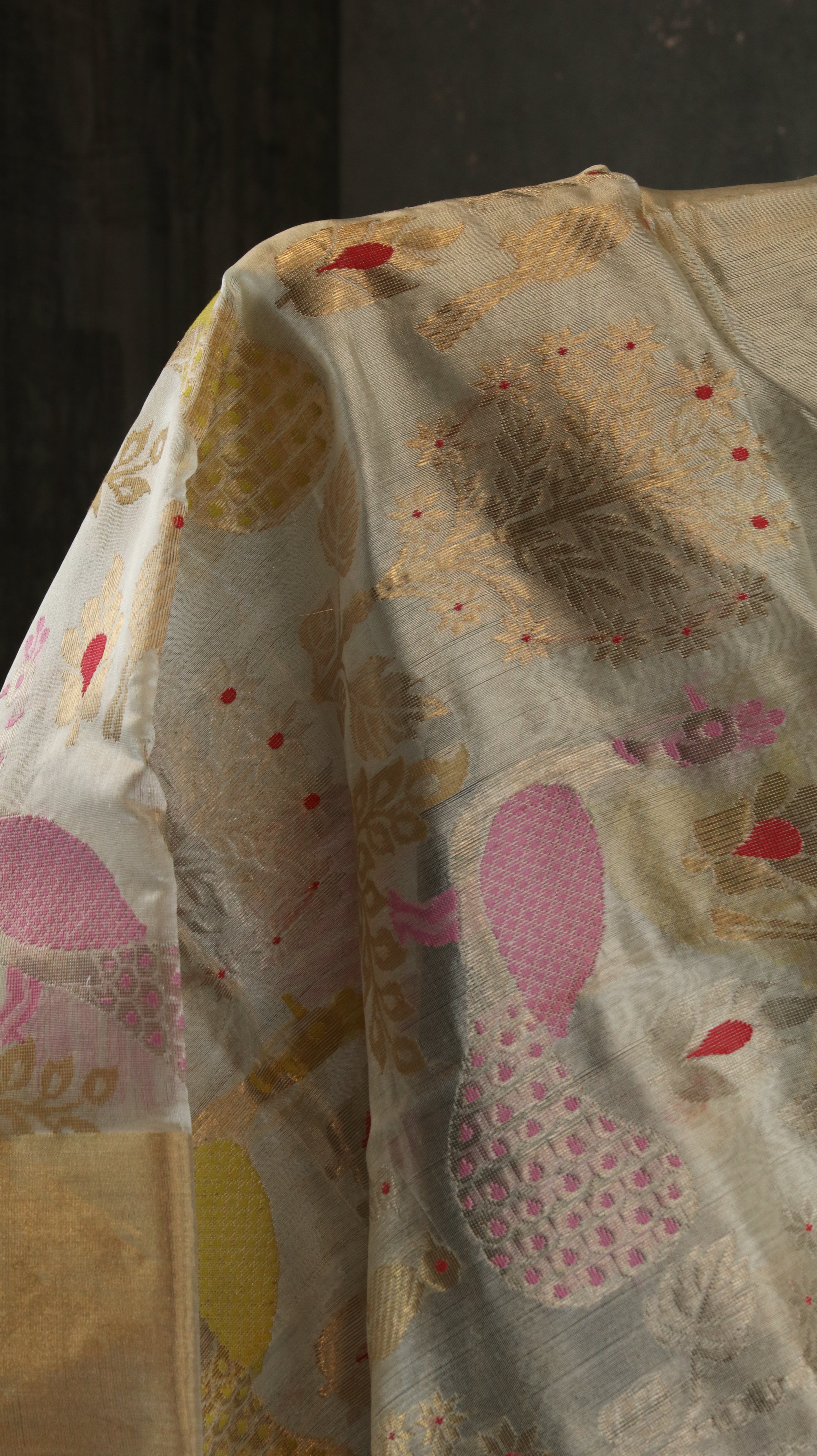 Peacock Whimsy | Chanderi