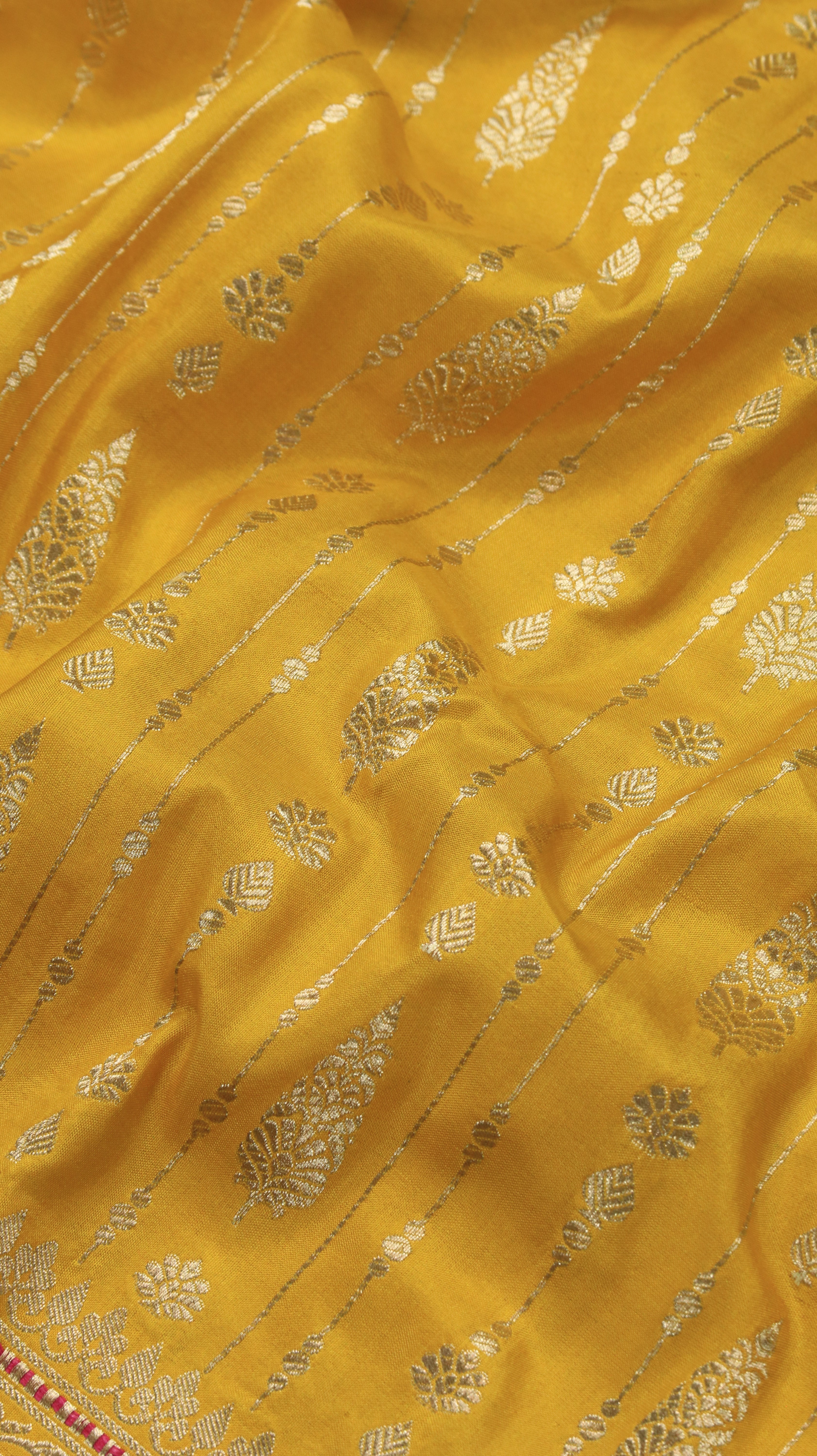 Golden Sonata | Banarasi
