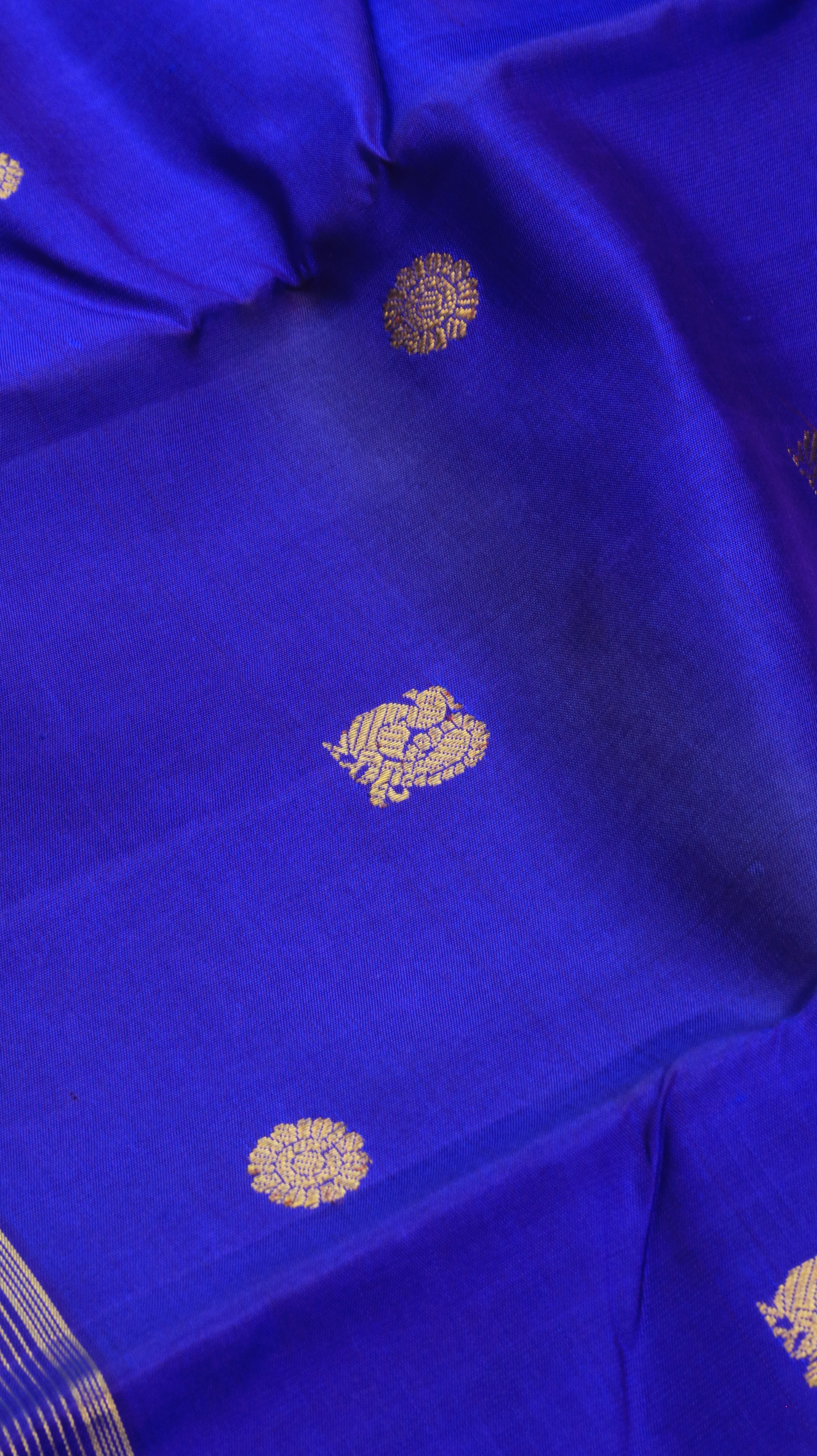 Nilaaranya | Kanjivaram