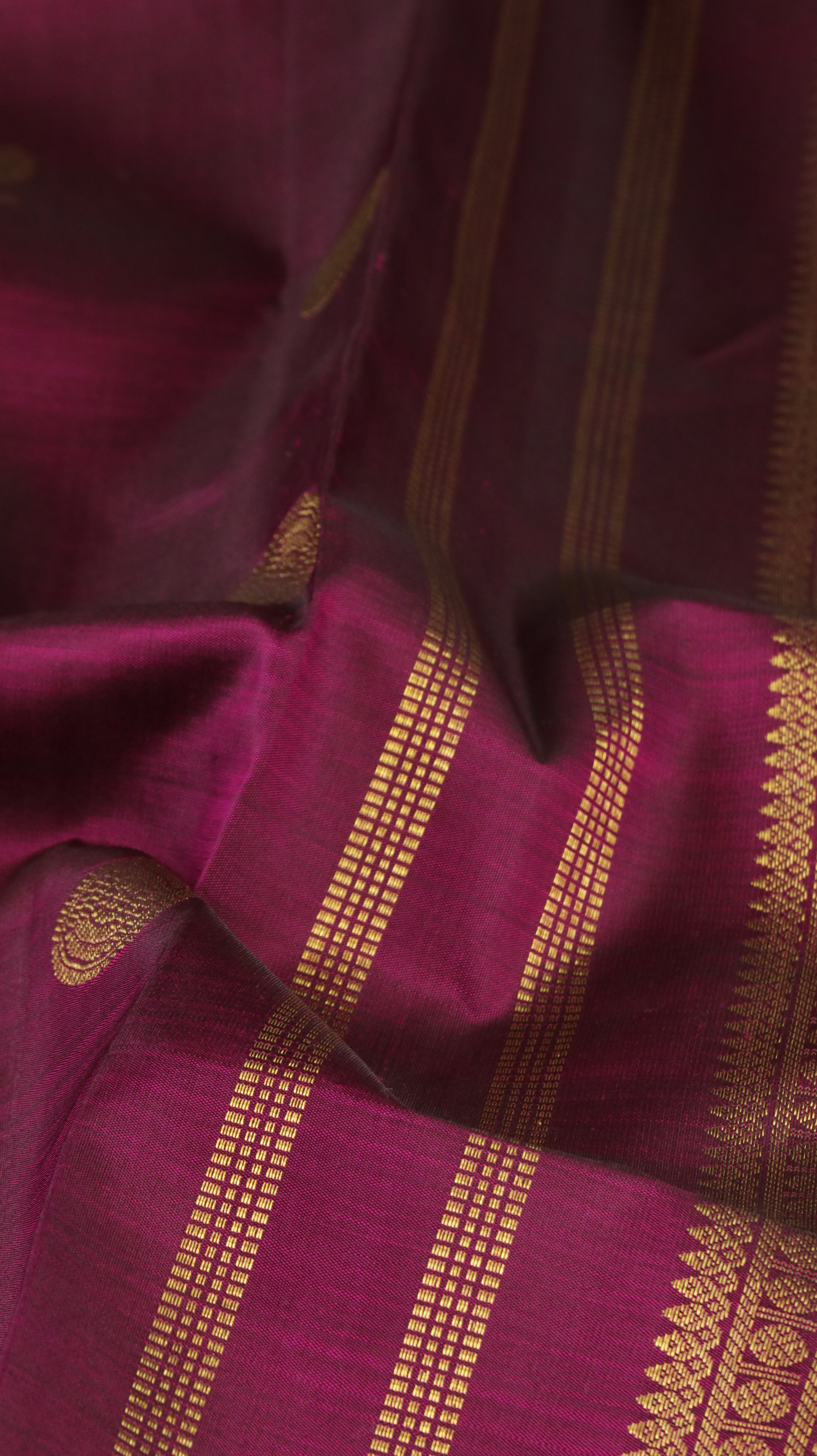 Peacock Plum | Kanjivaram