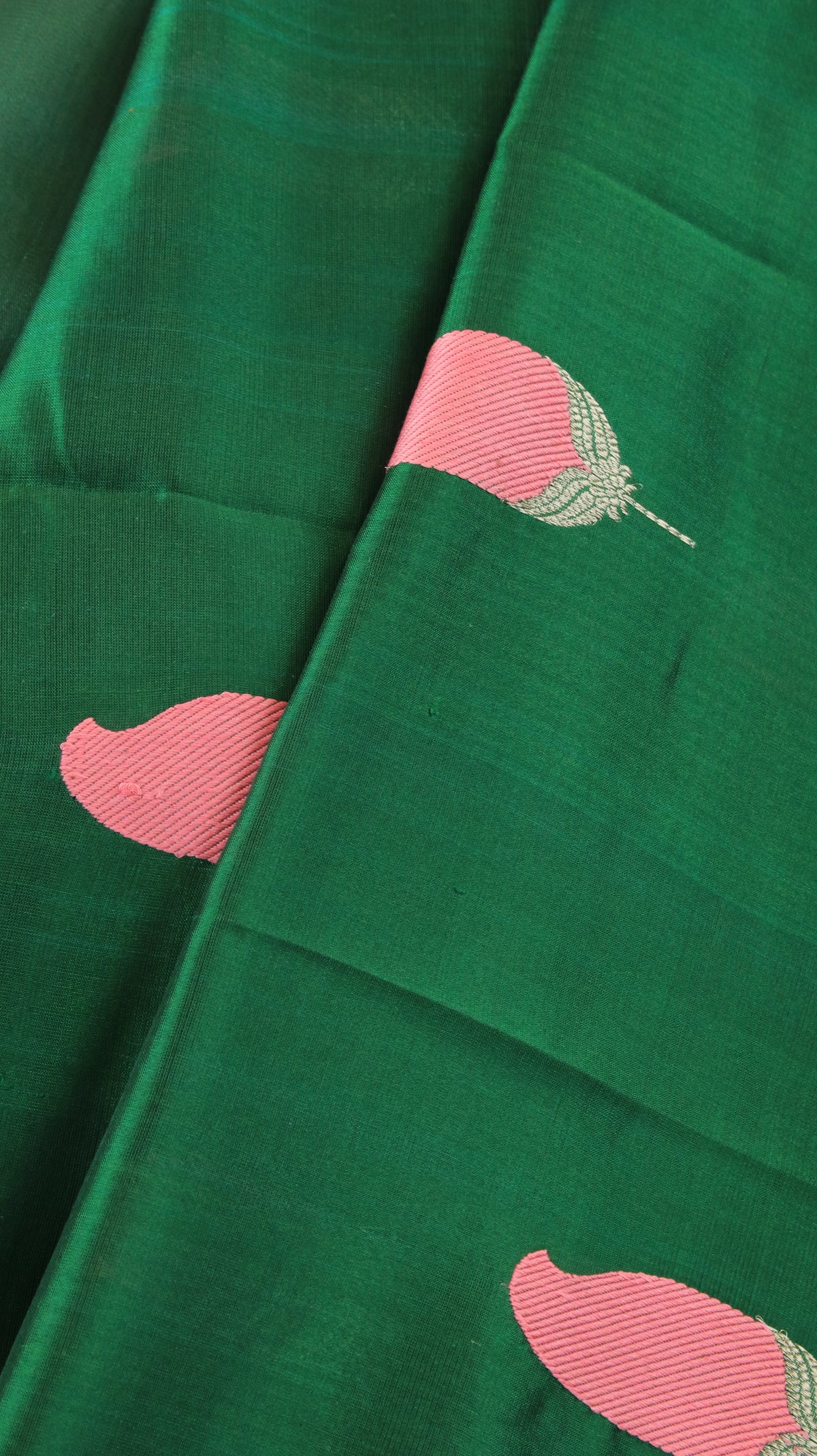 Pallavika | Chanderi