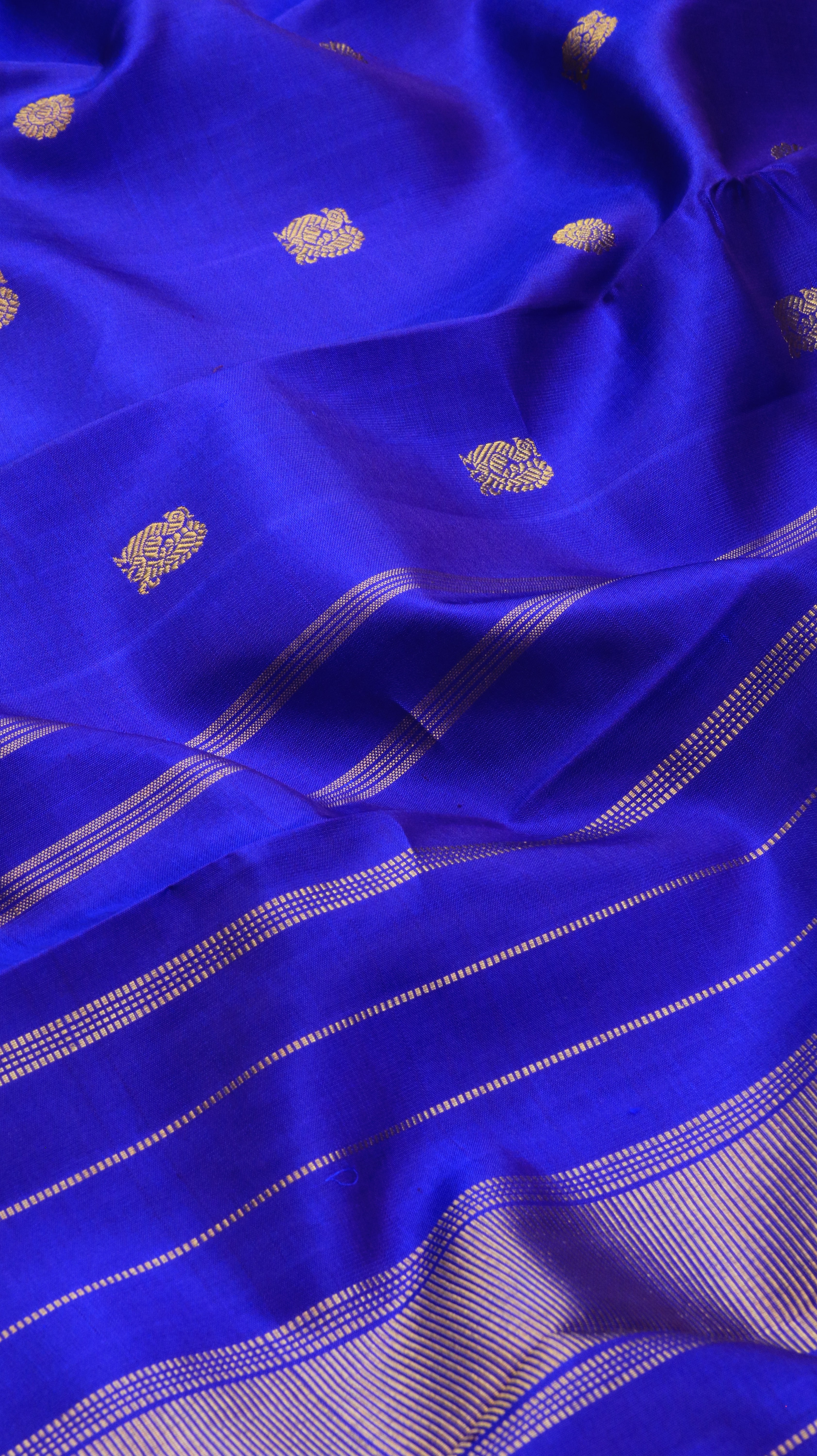 Nilaaranya | Kanjivaram