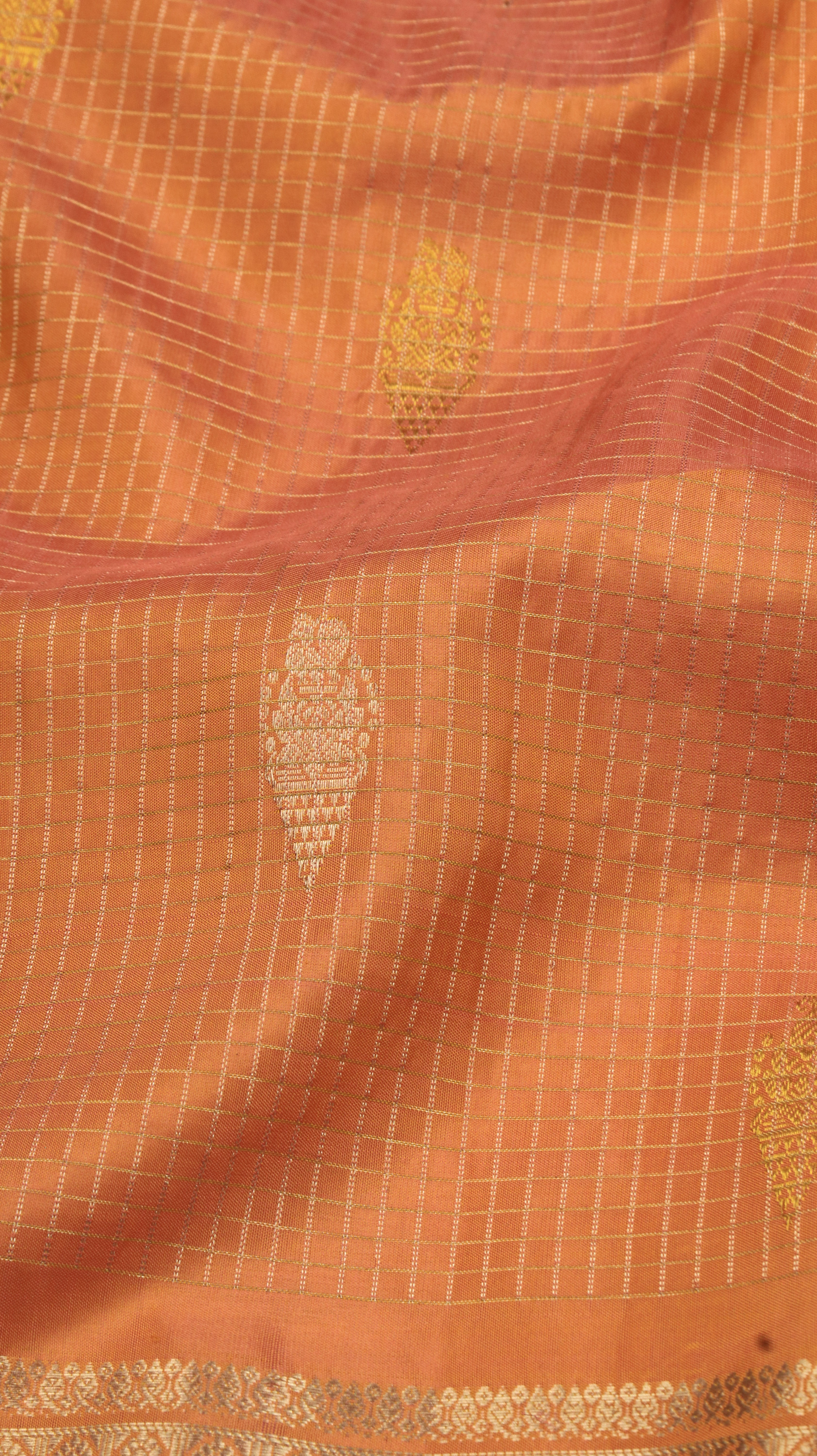 Apricot Empress | Gadwal