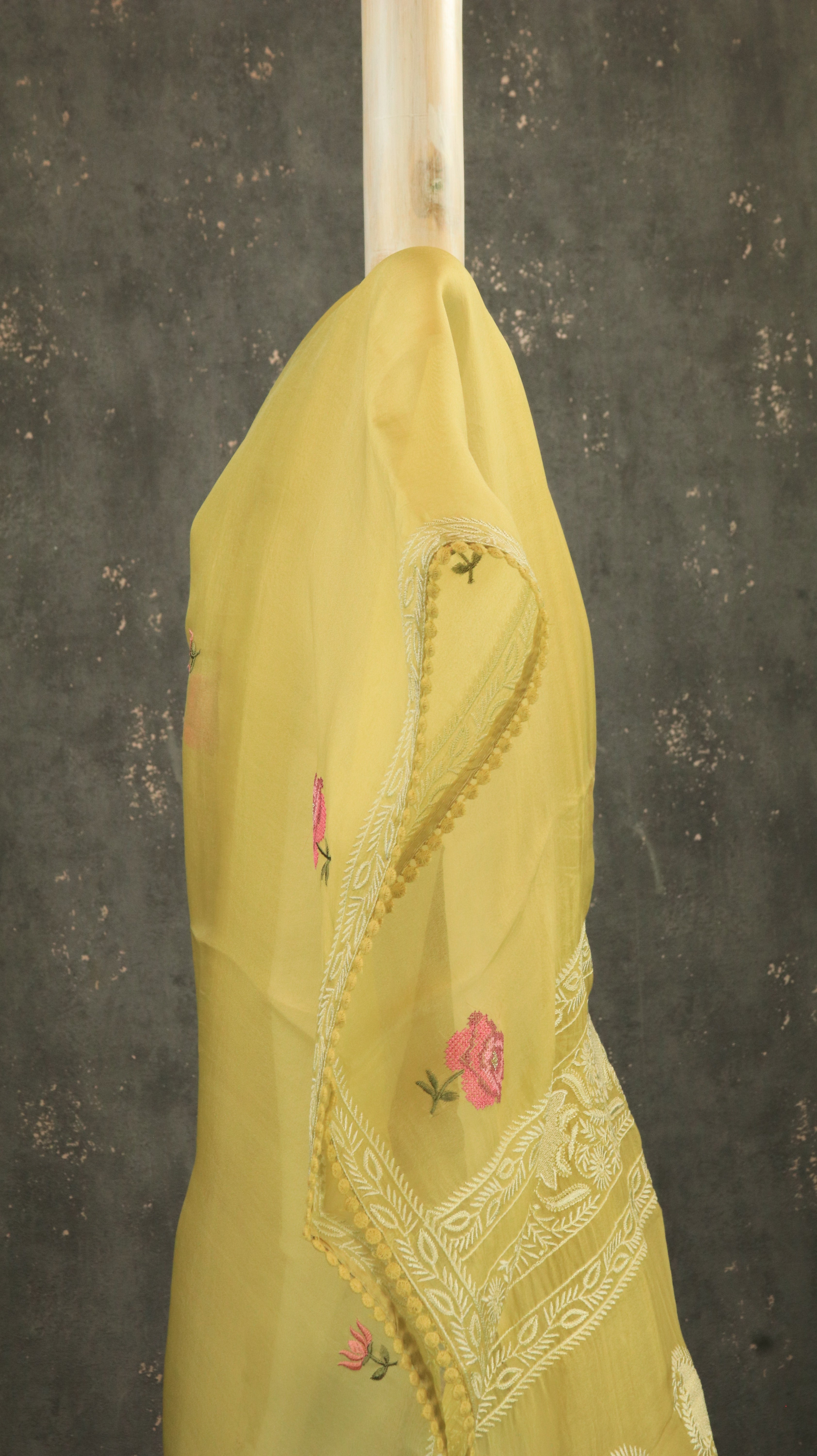 Pitambara | Organza