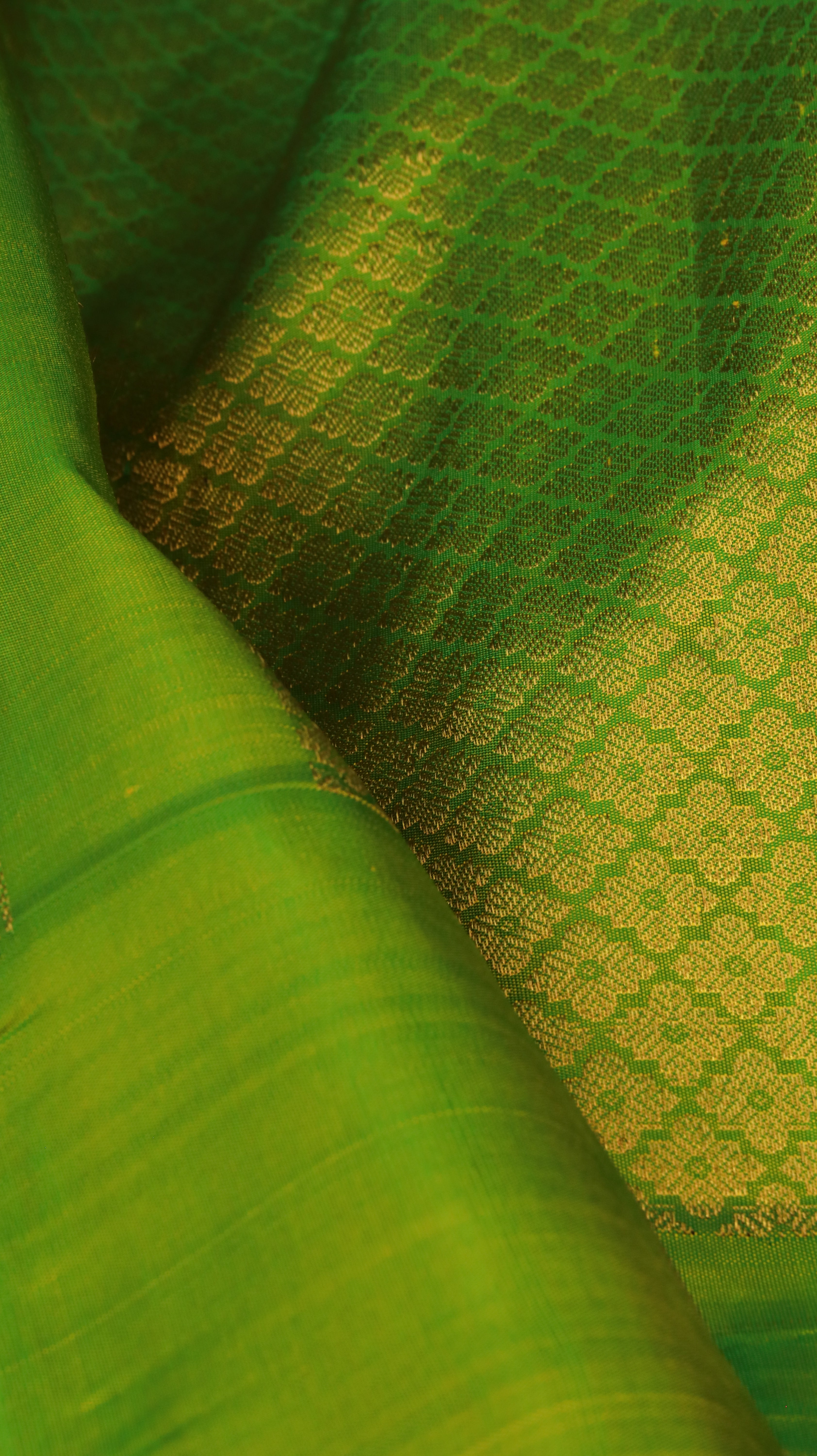 Twilight Fern | Gadwal