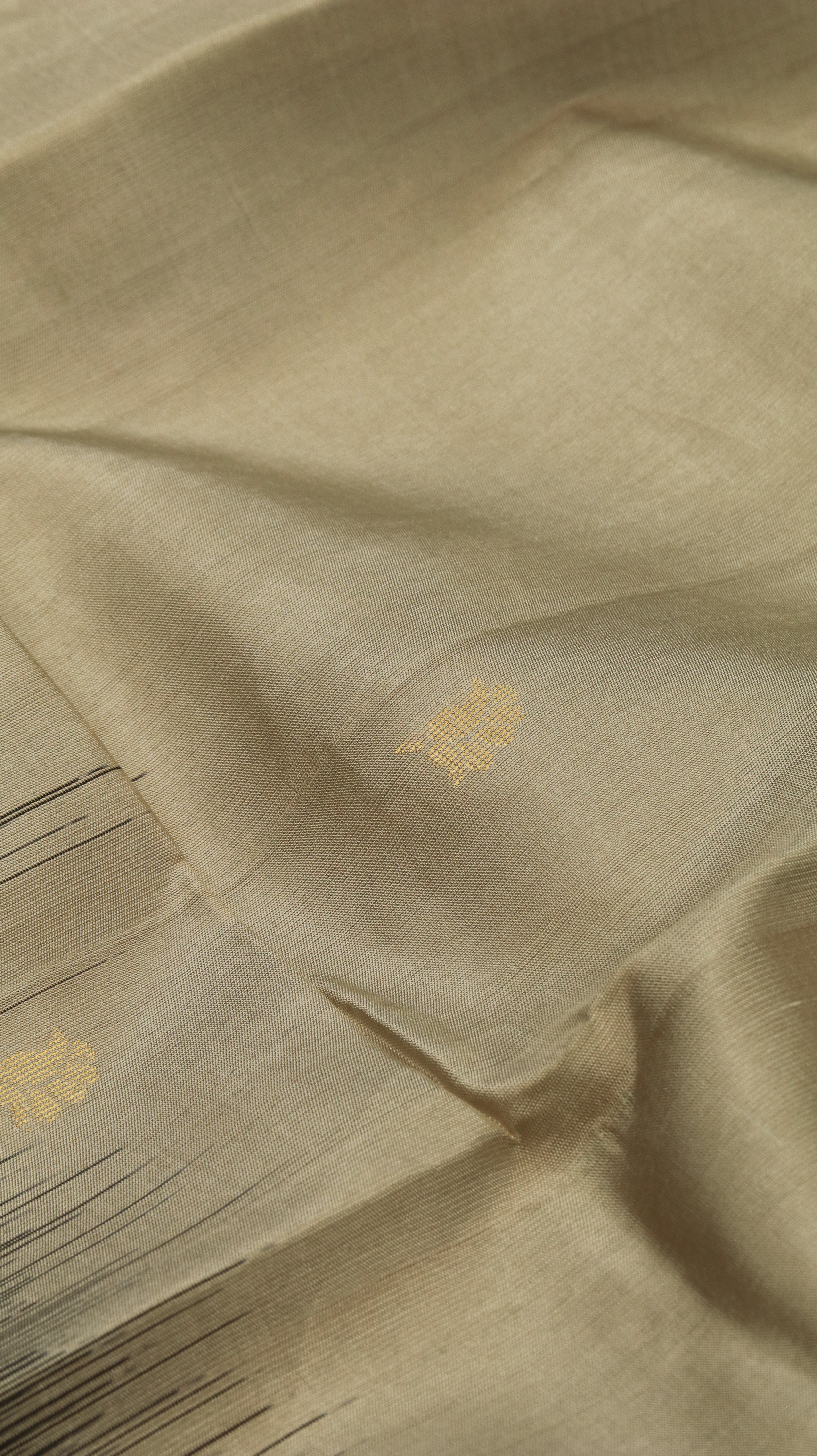 Neela pakshi | Kanjivaram