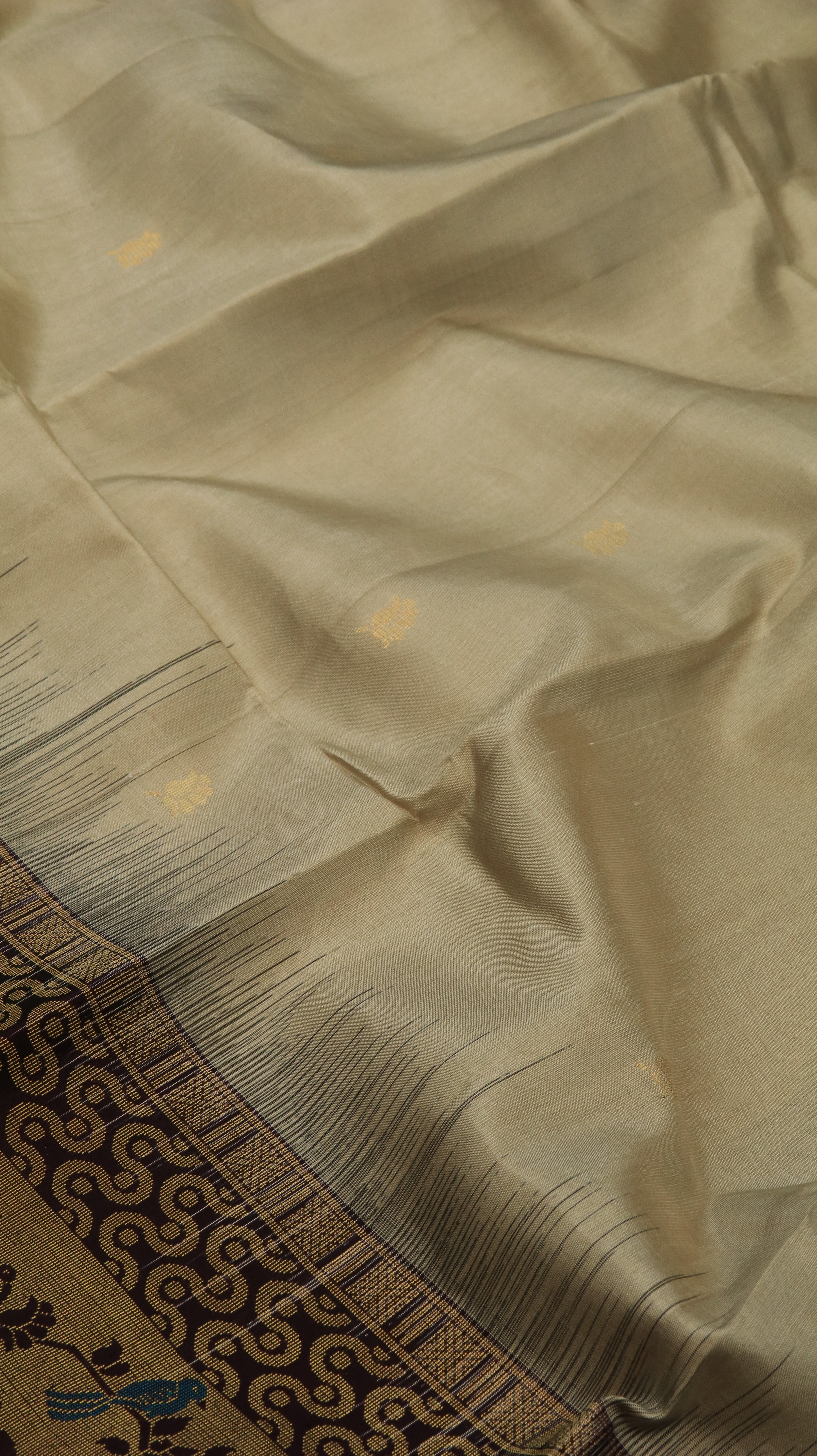 Neela pakshi | Kanjivaram