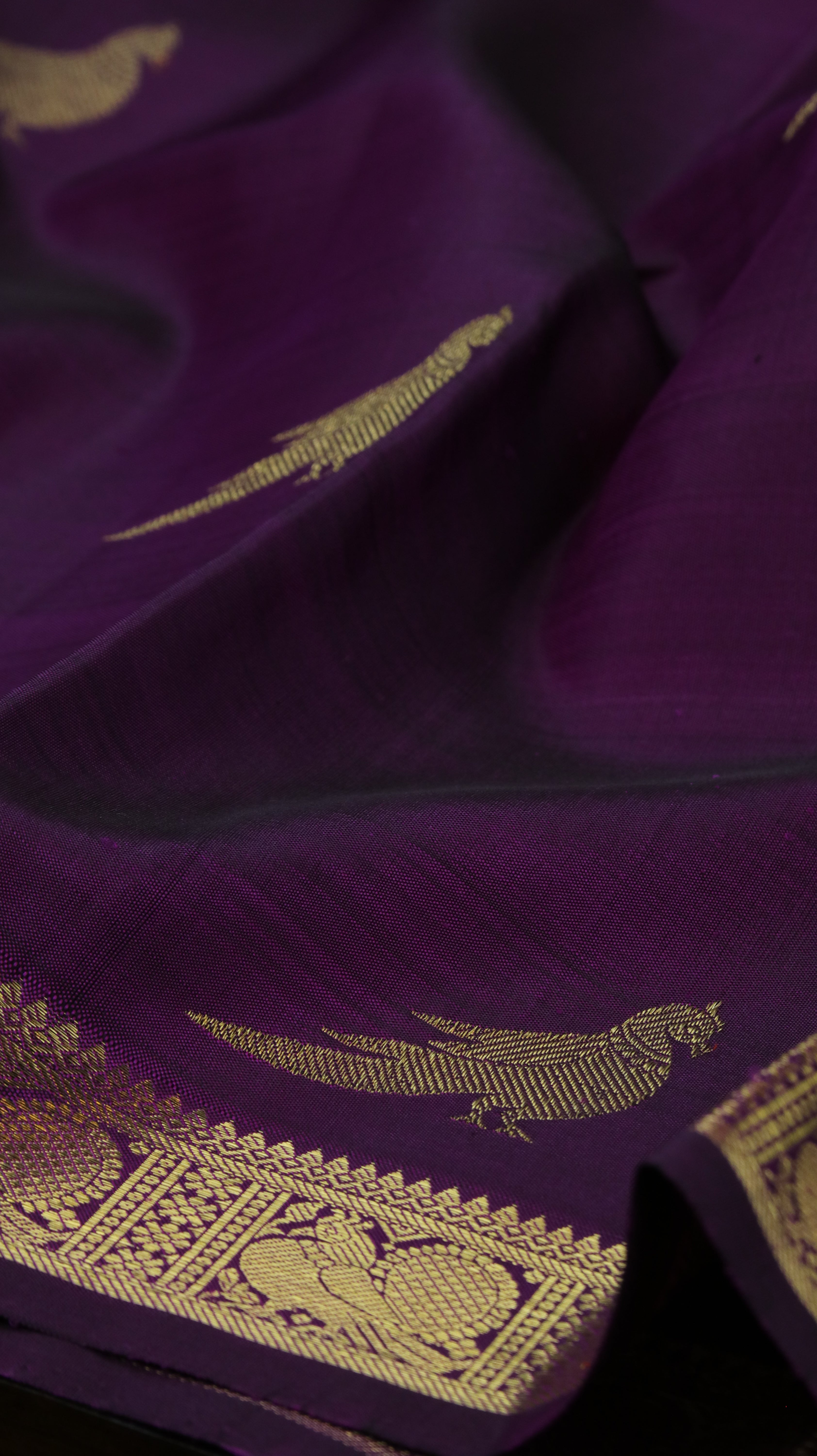 Mayura Lekha | Kanjivaram