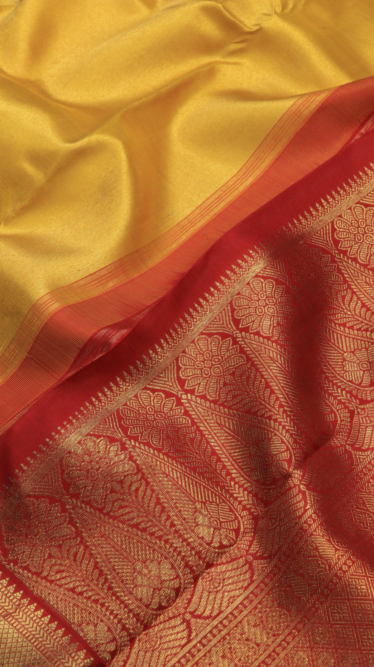 Arunima | Kanjivaram