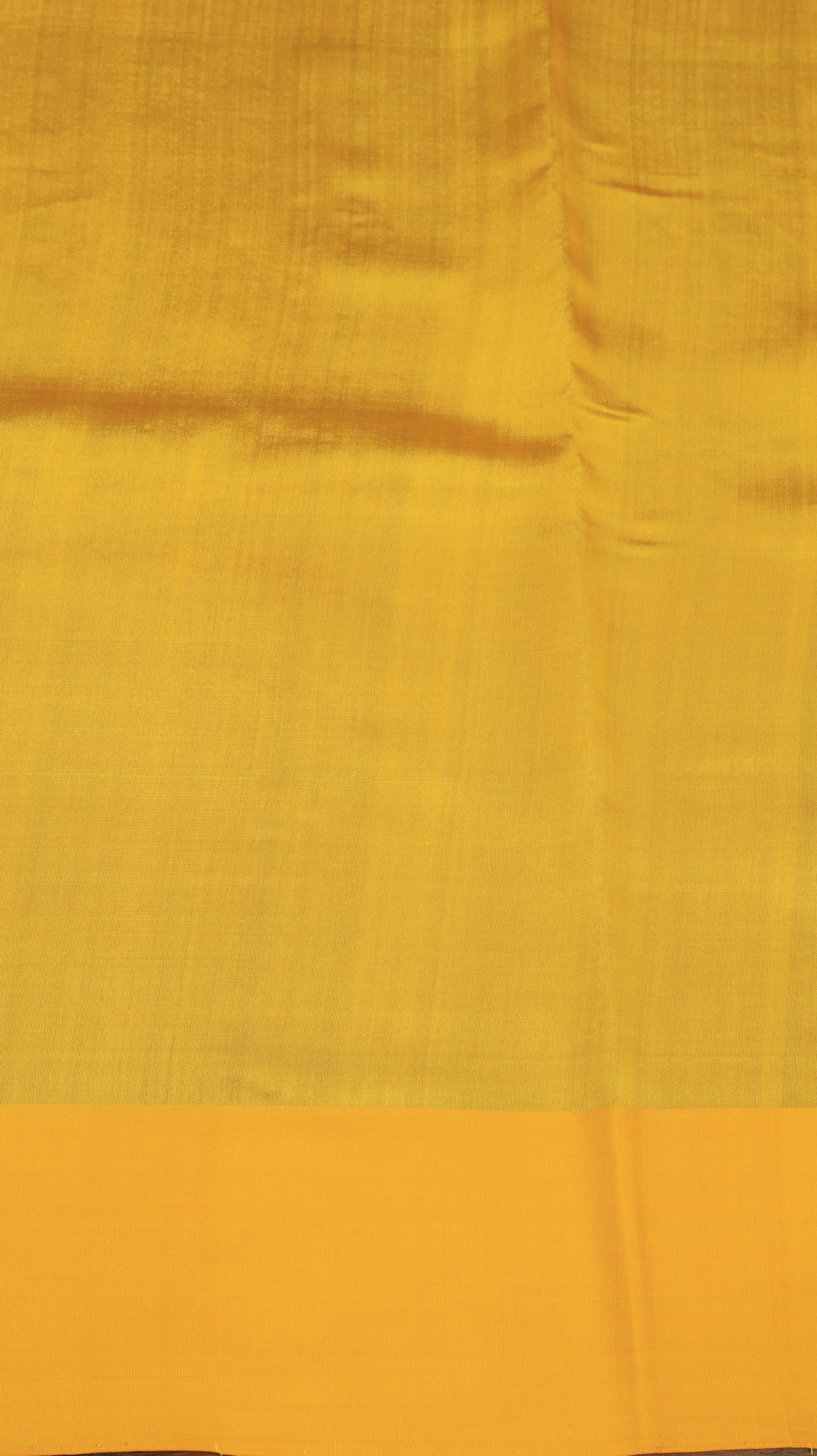 Marigold Muse | Chanderi