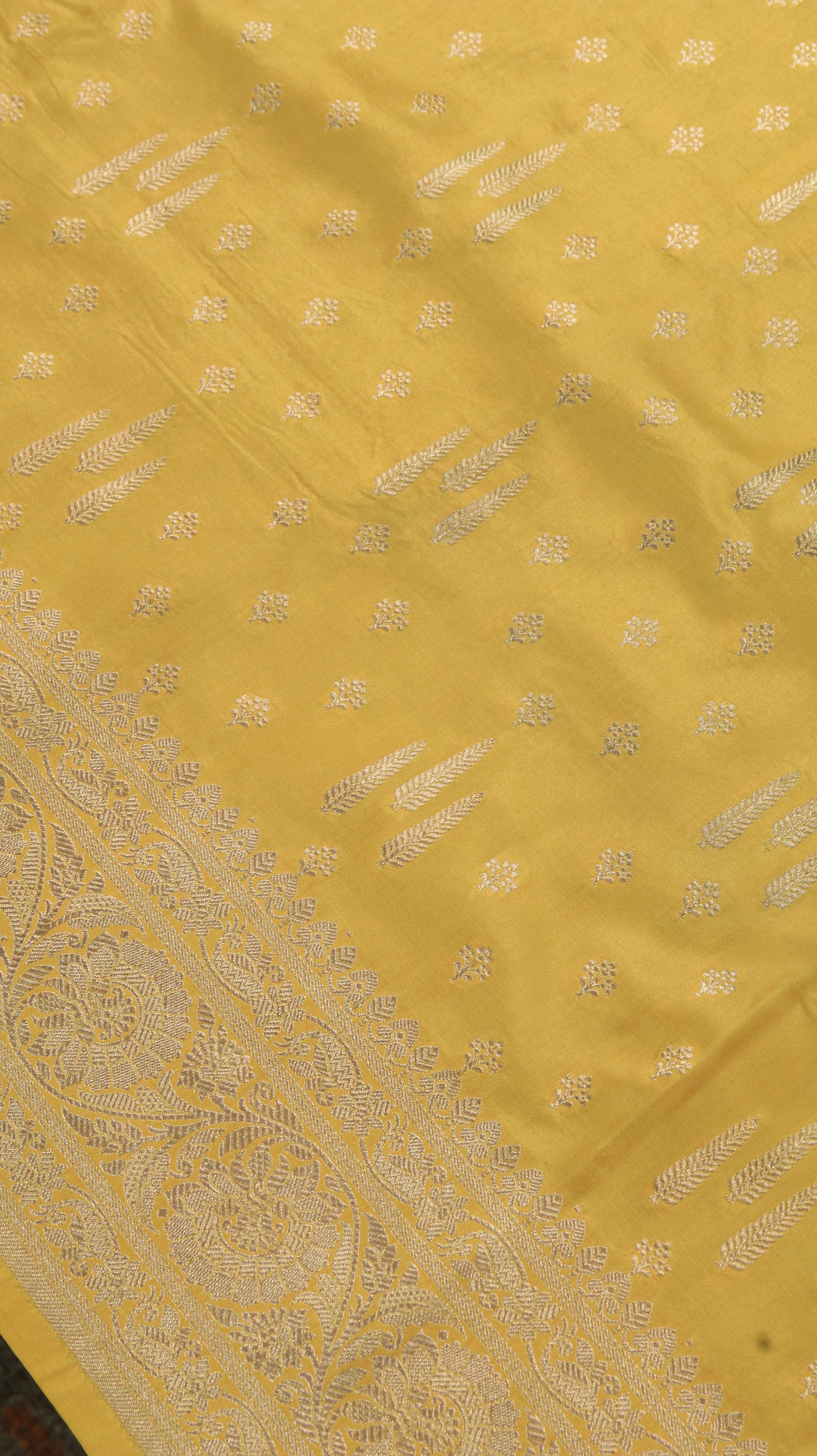 Sunlit Regalia | Banarasi