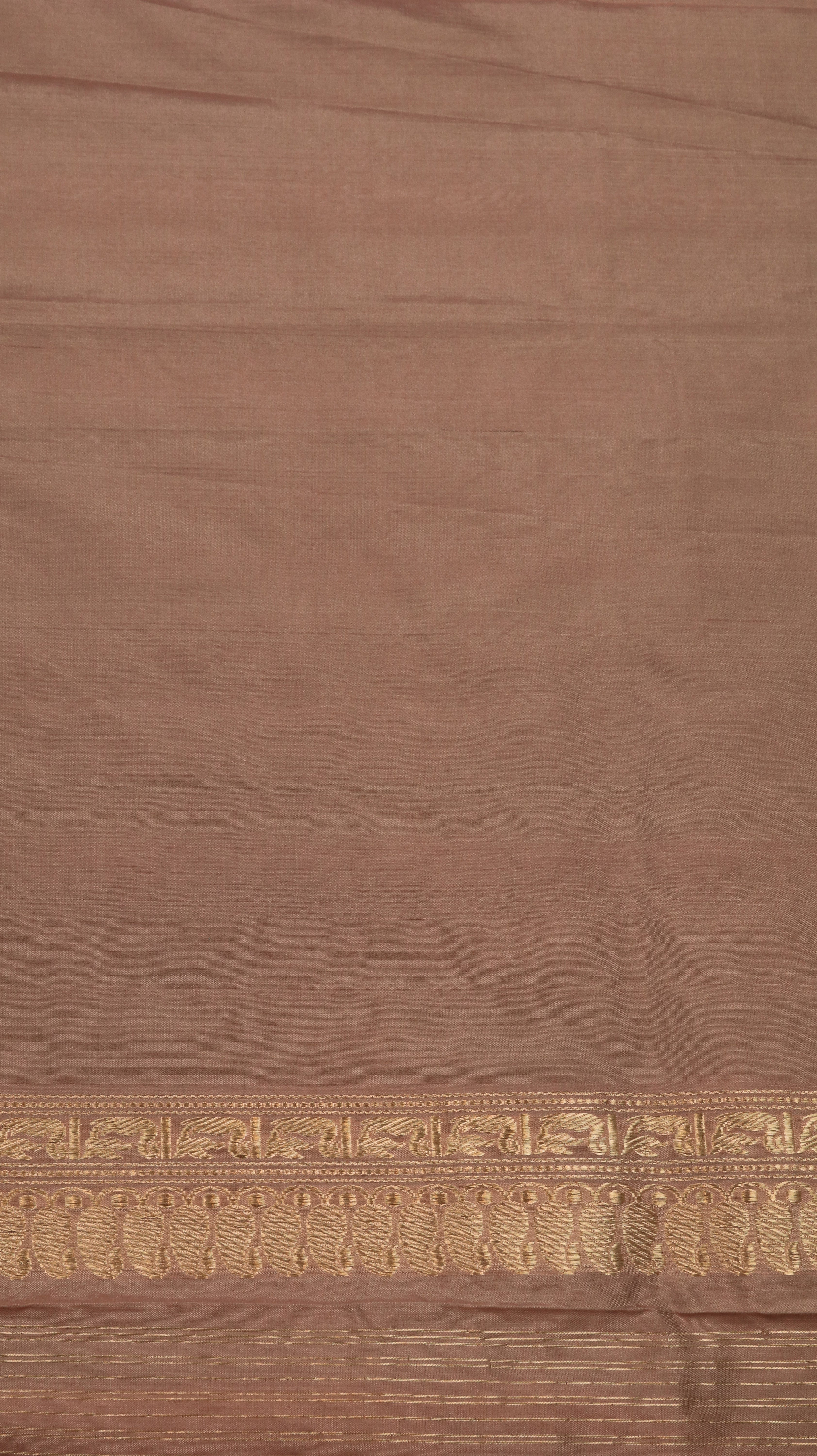 Whispers of Wings | Banarasi