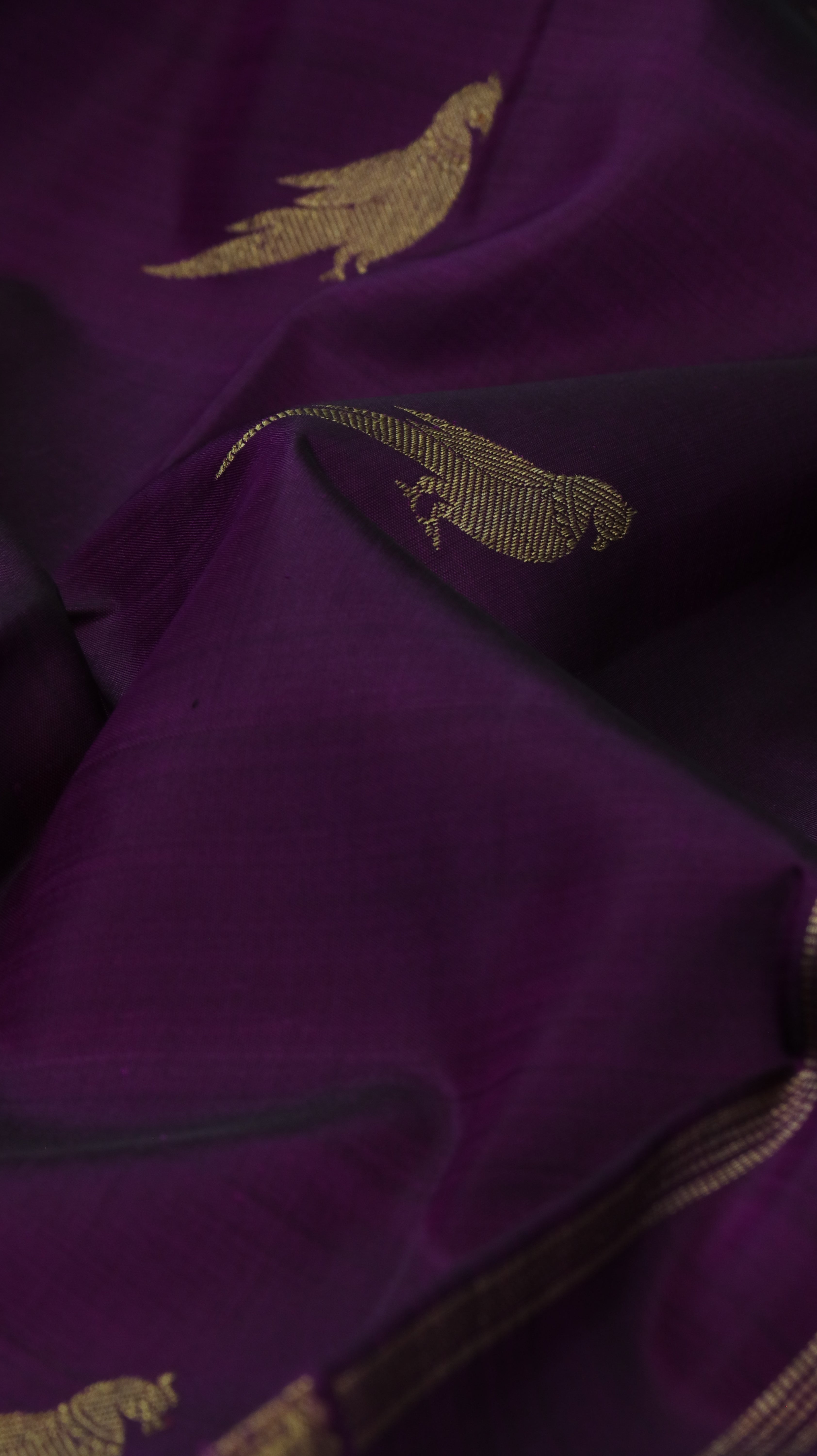 Mayura Lekha | Kanjivaram