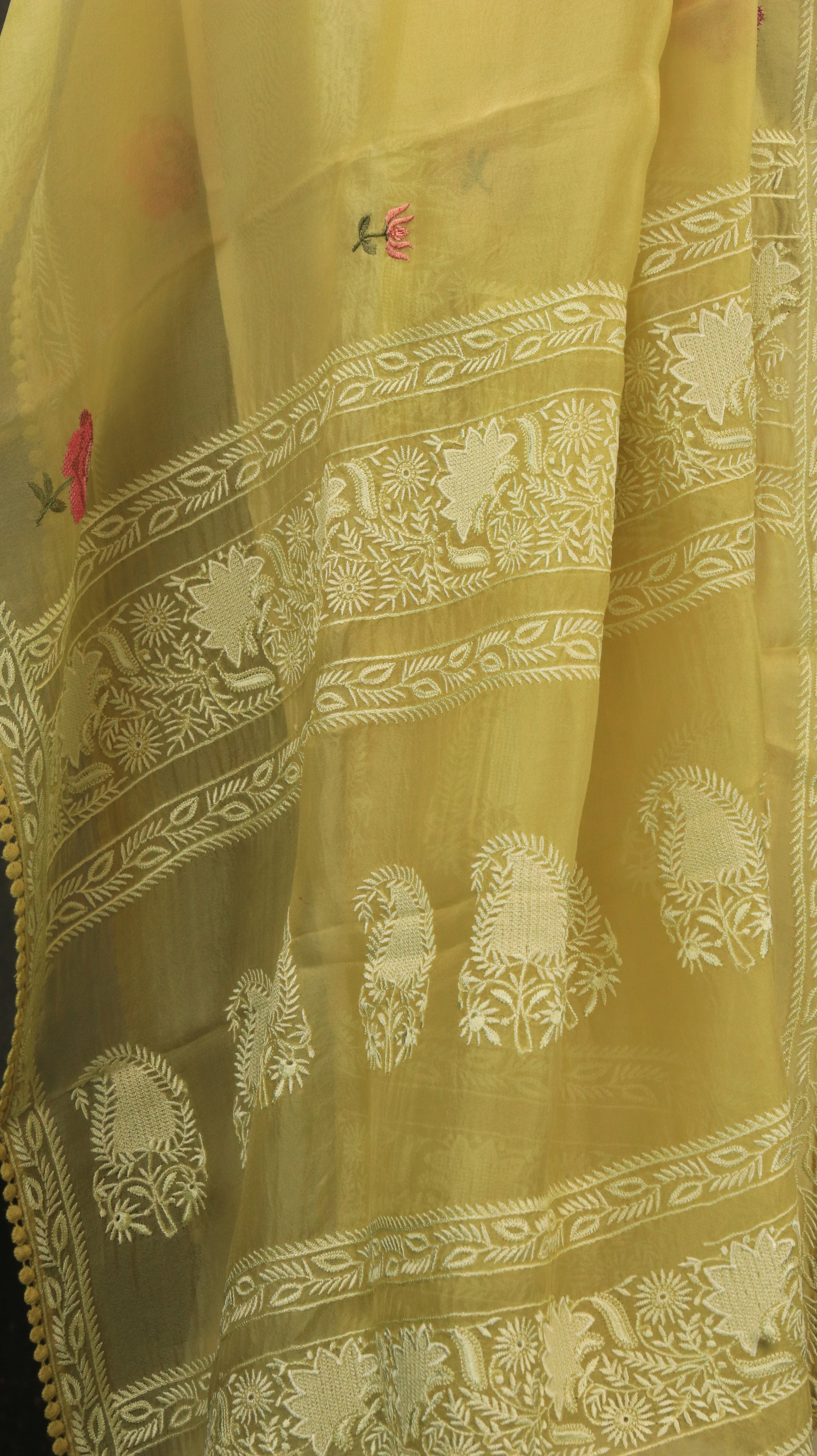 Pitambara | Organza