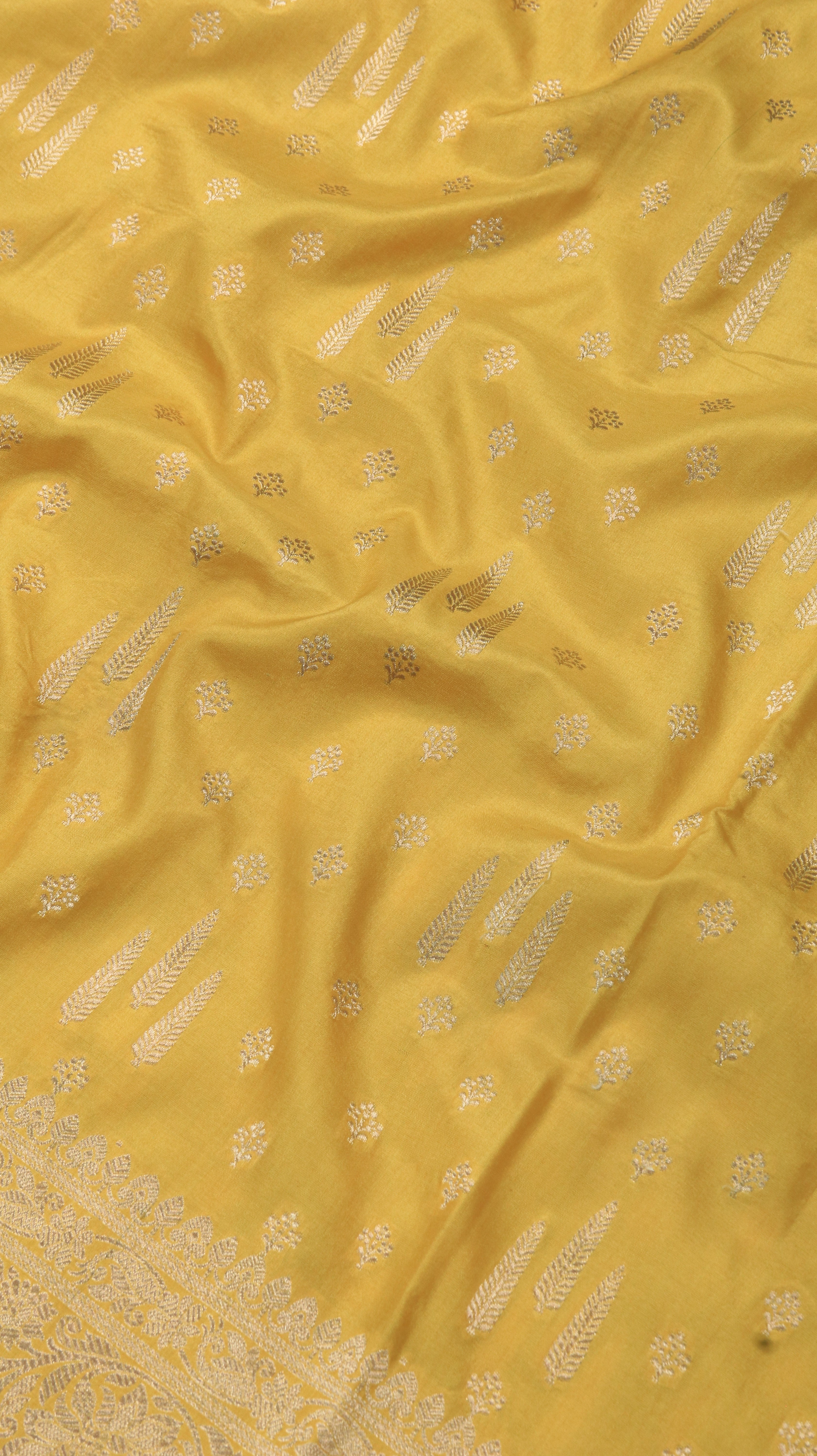 Sunlit Regalia | Banarasi