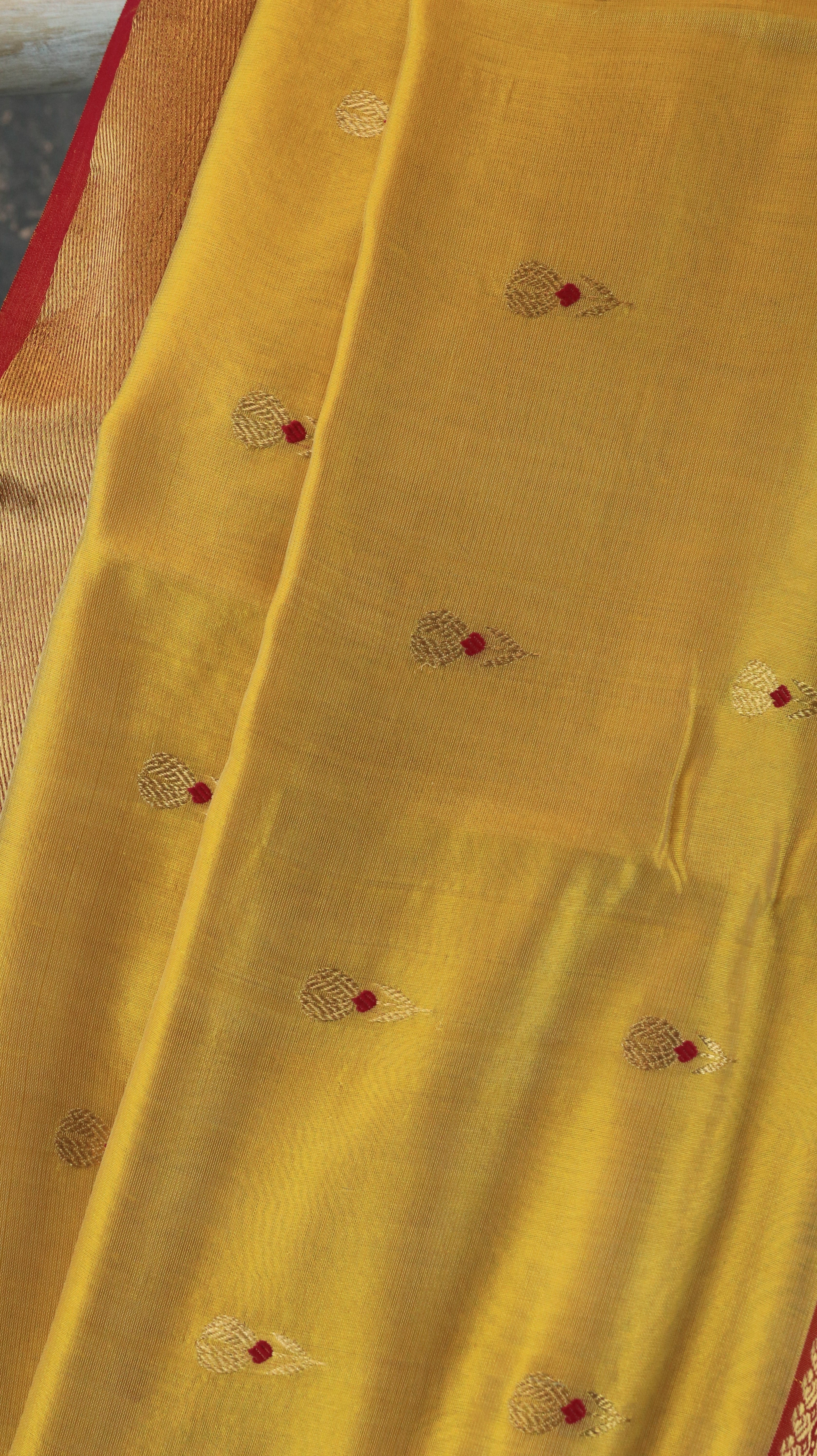 Kanika | Chanderi