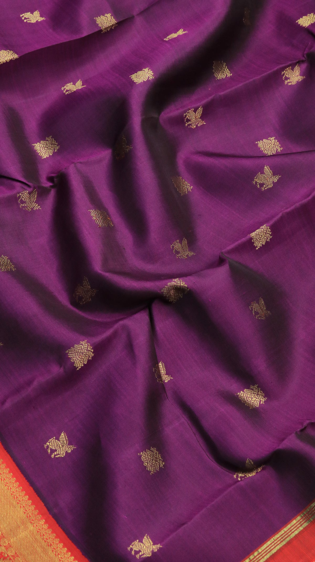 Kumudini | Kanjivaram