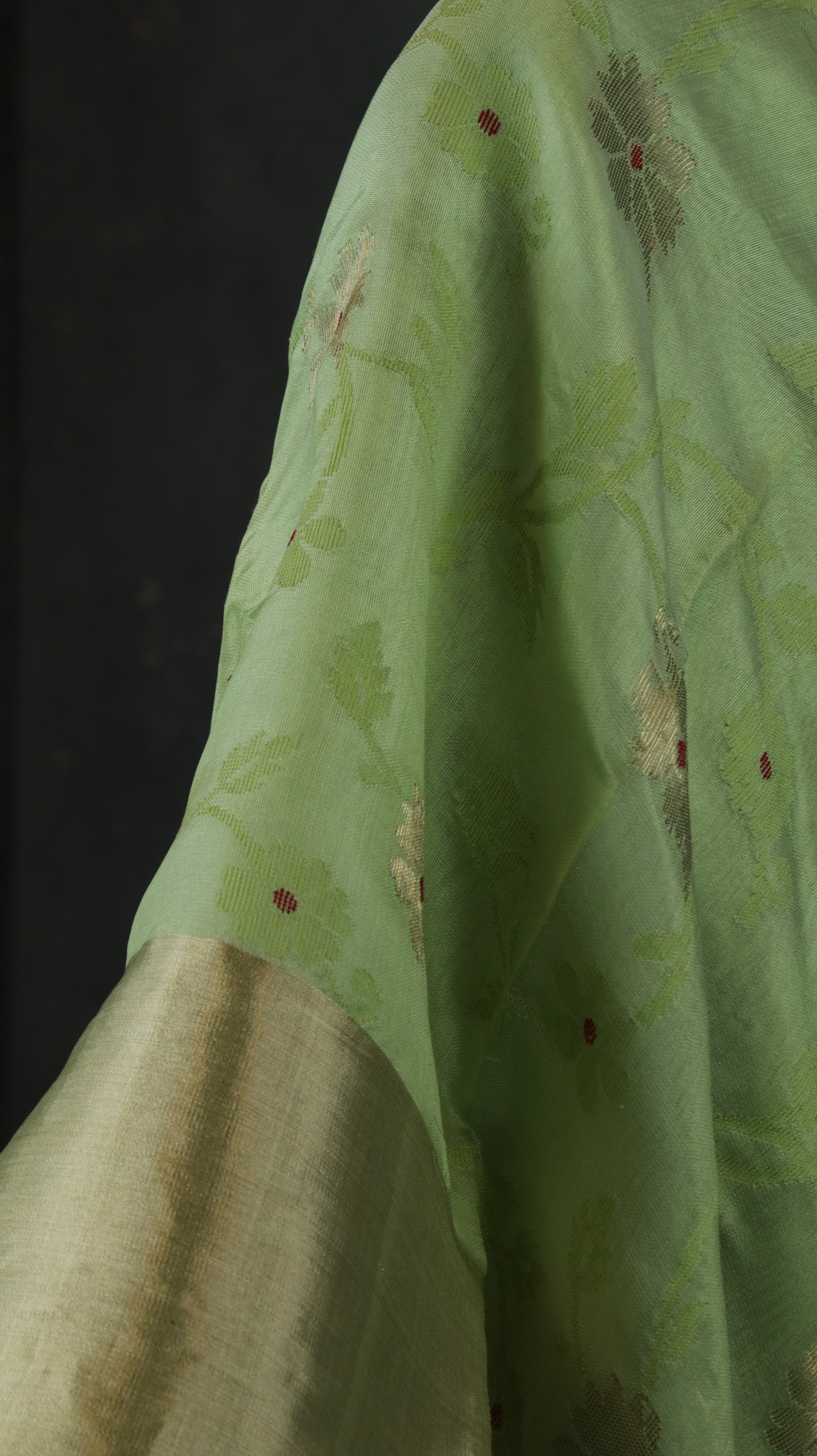 Haritanjali | Chanderi