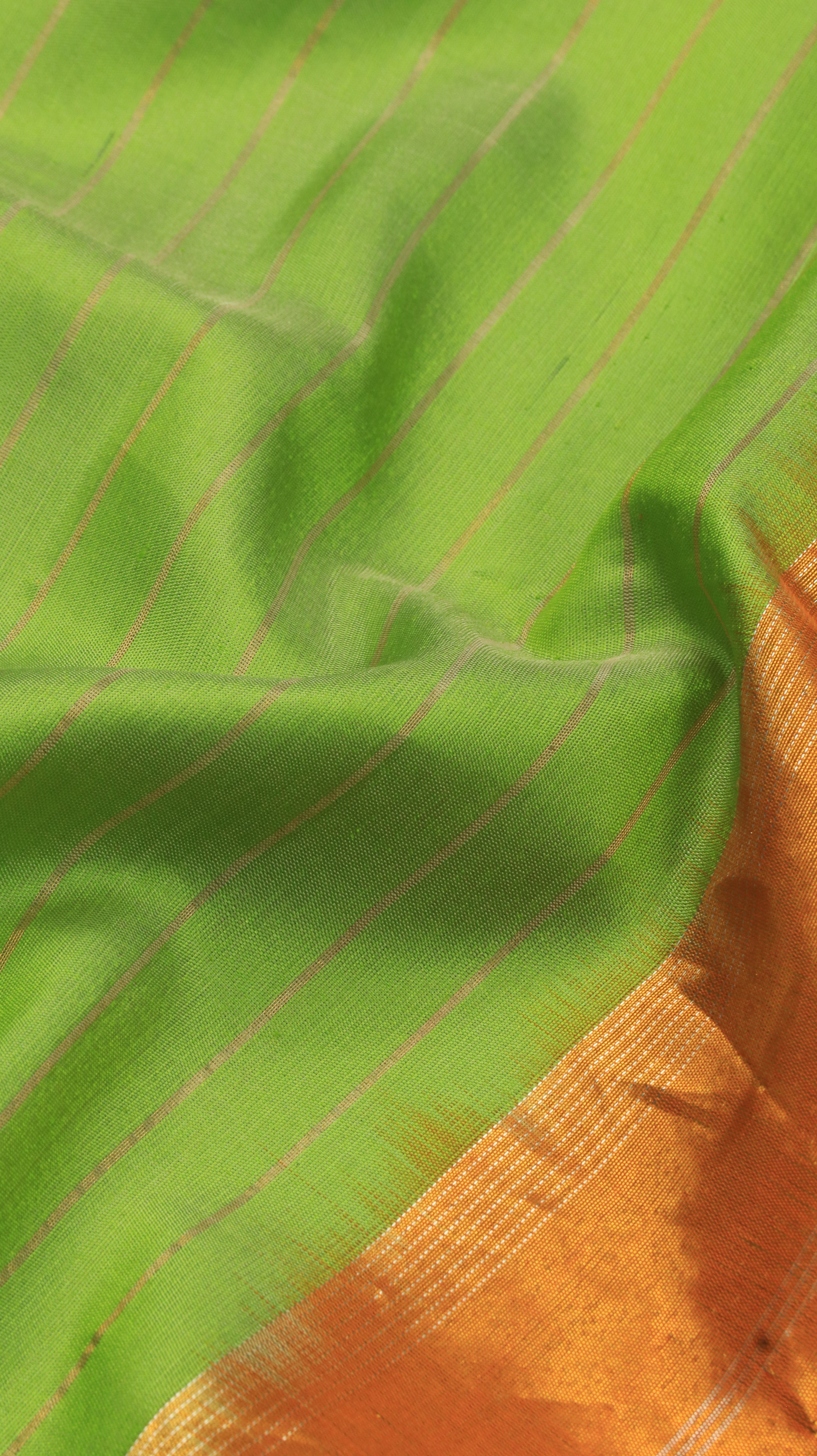 Parrot Aurelia | Gadwal