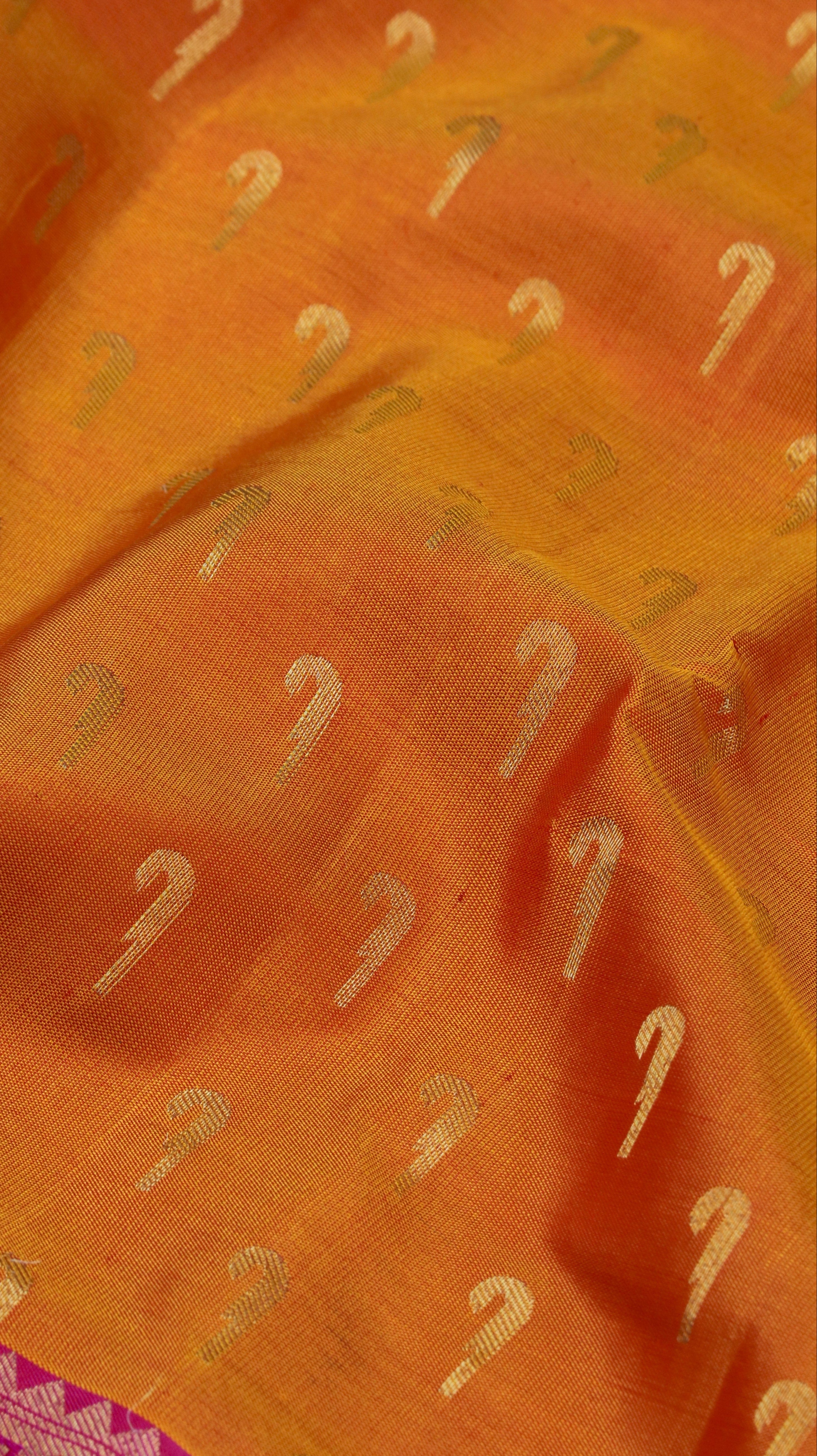 Mayūra dhvani | Kanjivaram