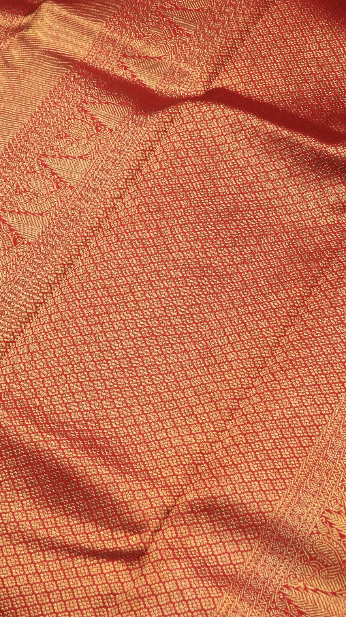Kumudini | Kanjivaram