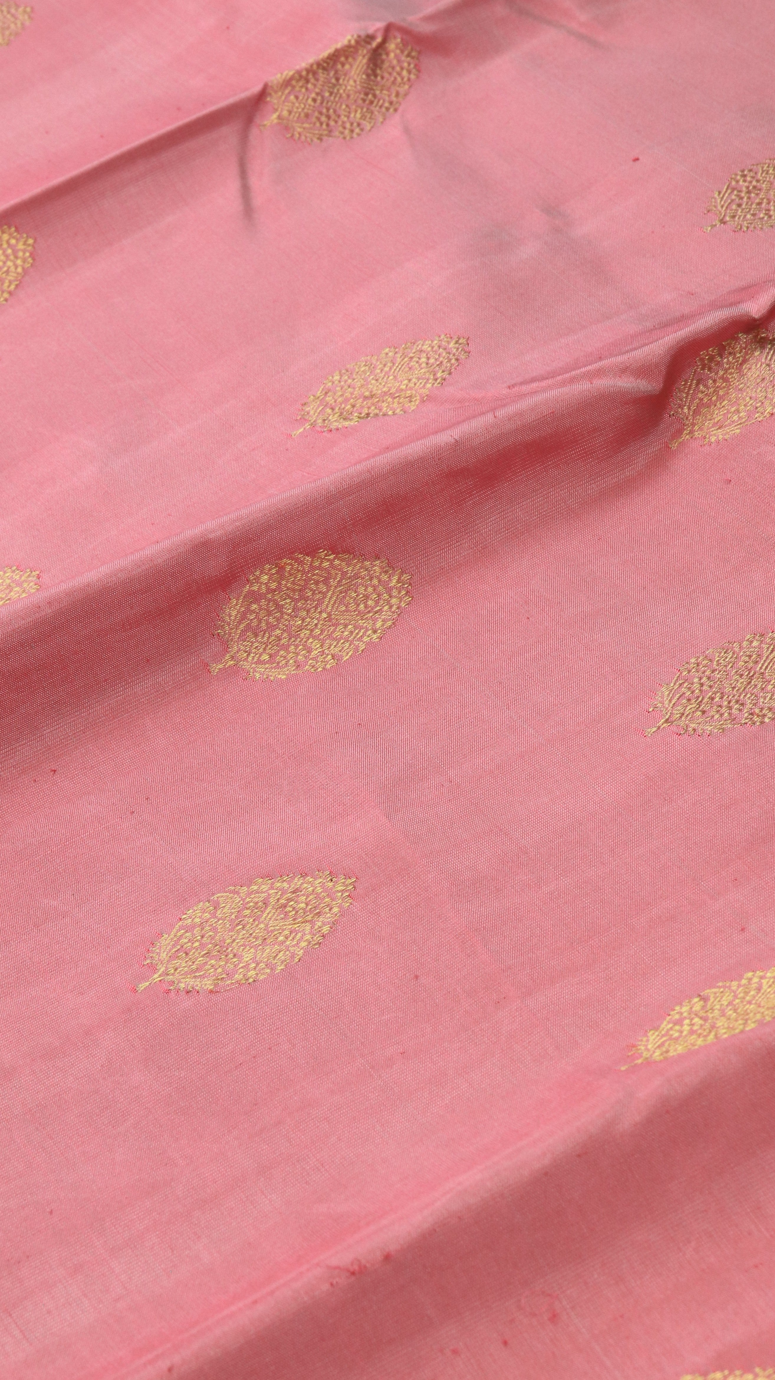 Padma Rekha | Kanjivaram