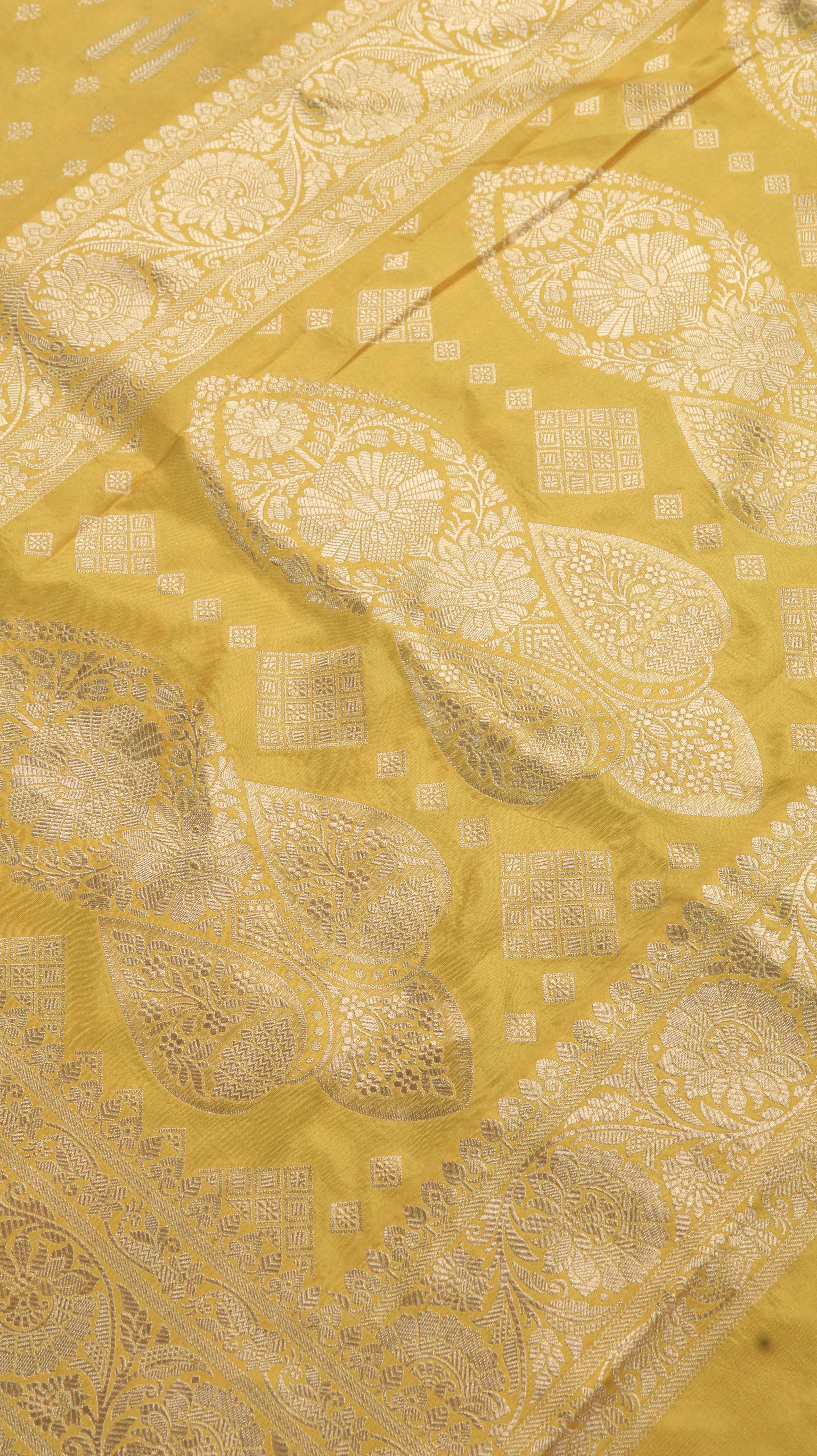 Sunlit Regalia | Banarasi
