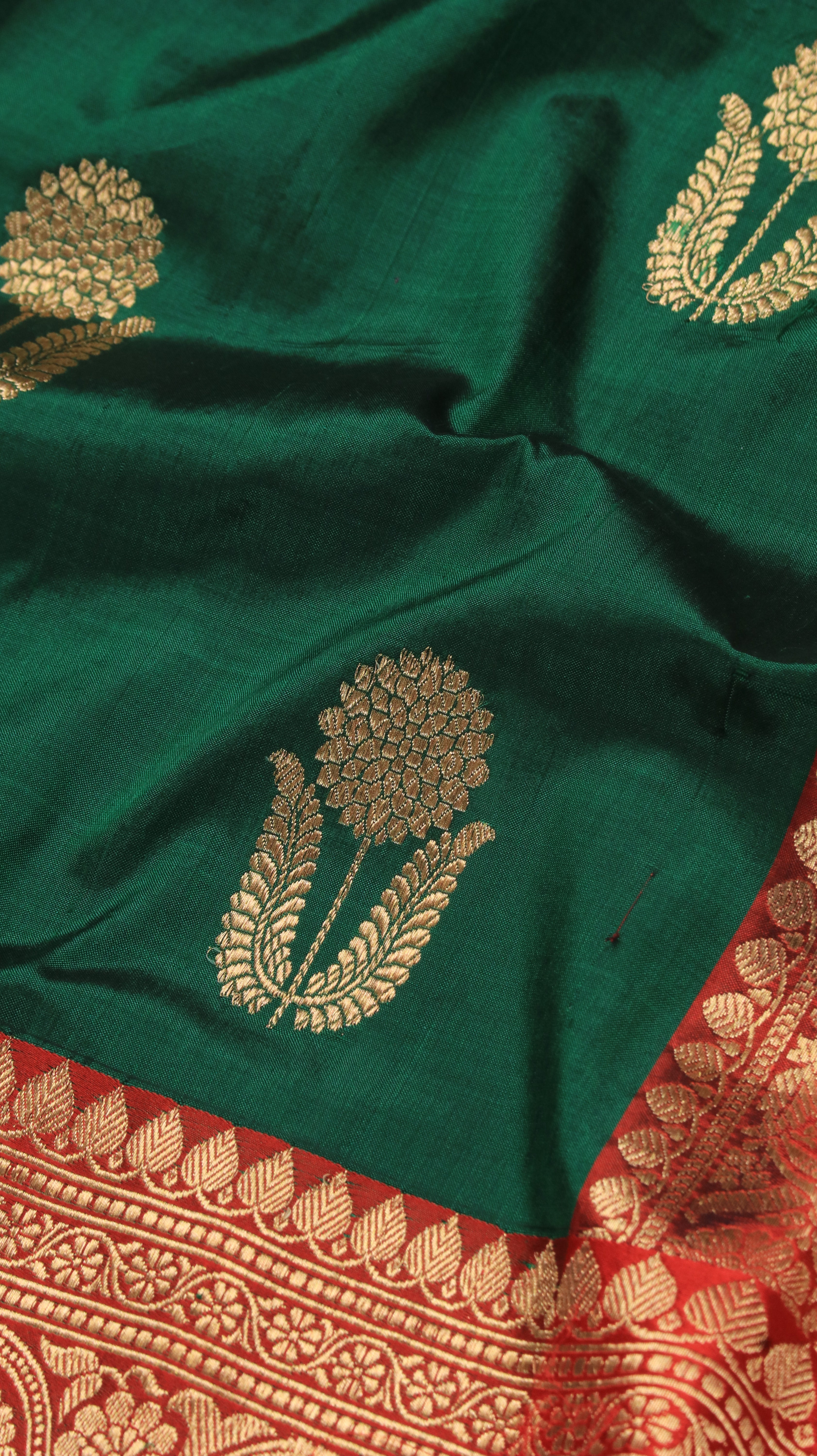 Sacred Green | Banarasi