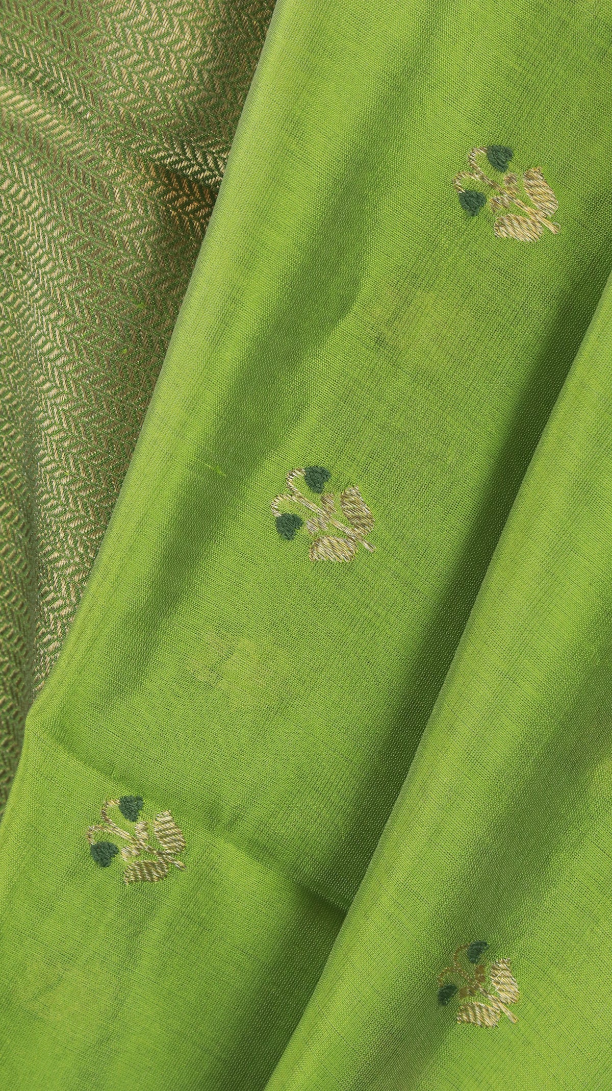 Haritha Kanthi | Chanderi