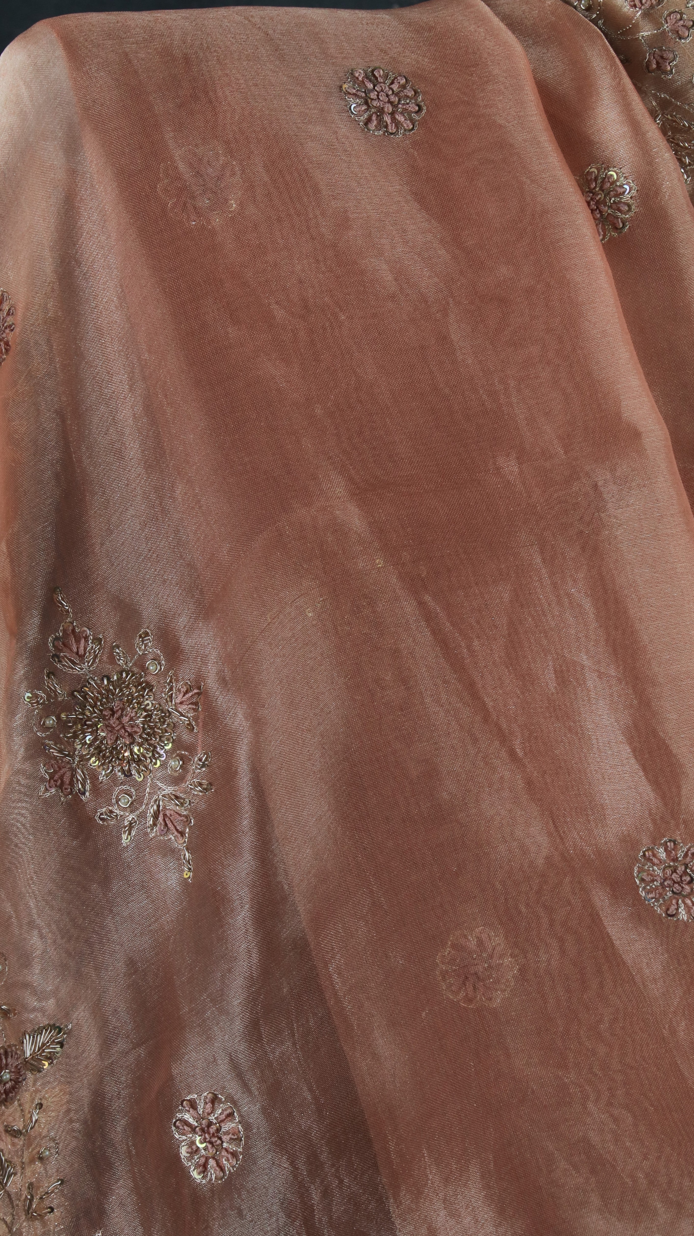 Champagne Rustle | Organza