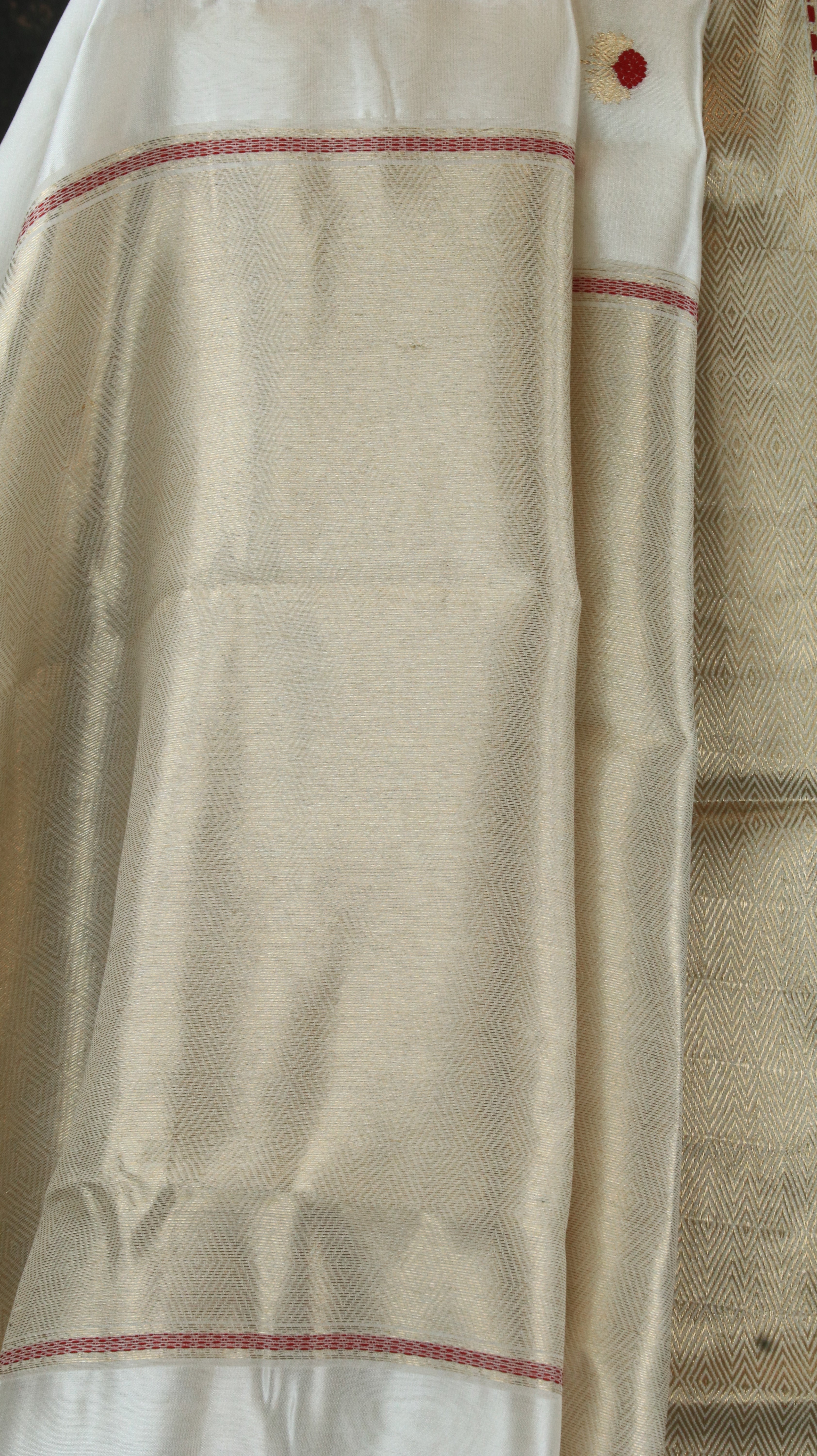 Rohini Sveta | Chanderi