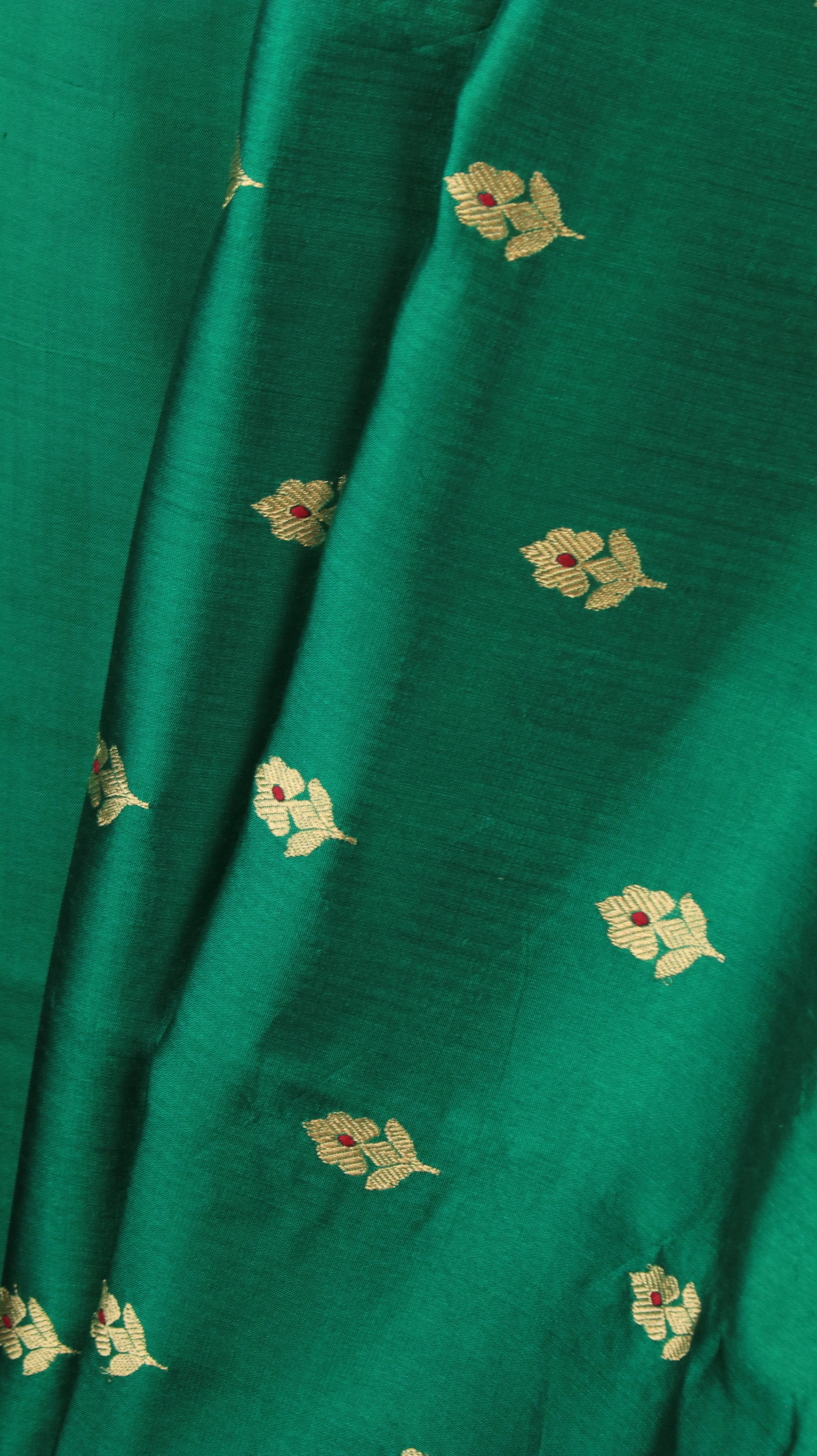Verdant Varnam | Chanderi