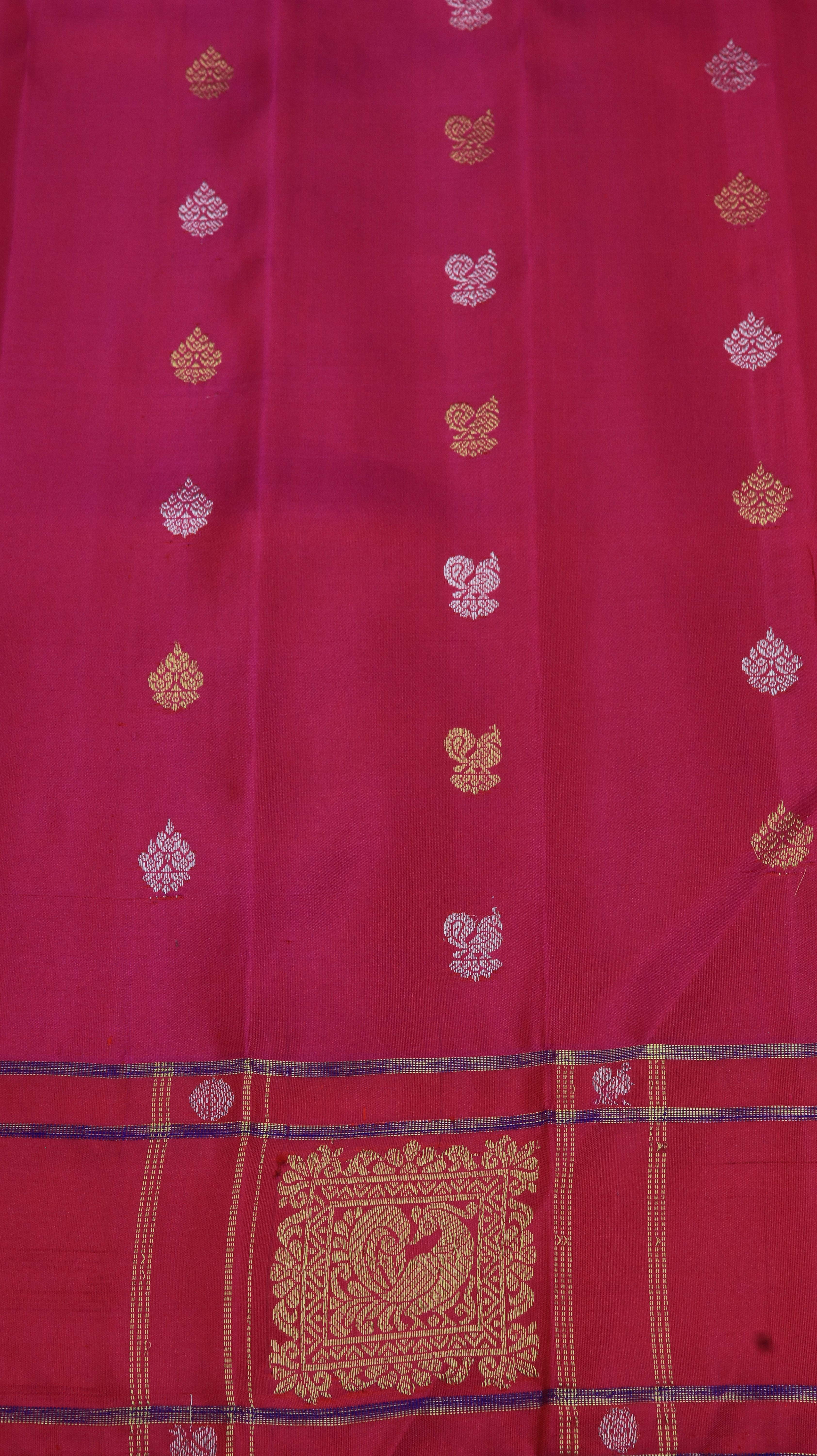 Crimson Orchid | Gadwal