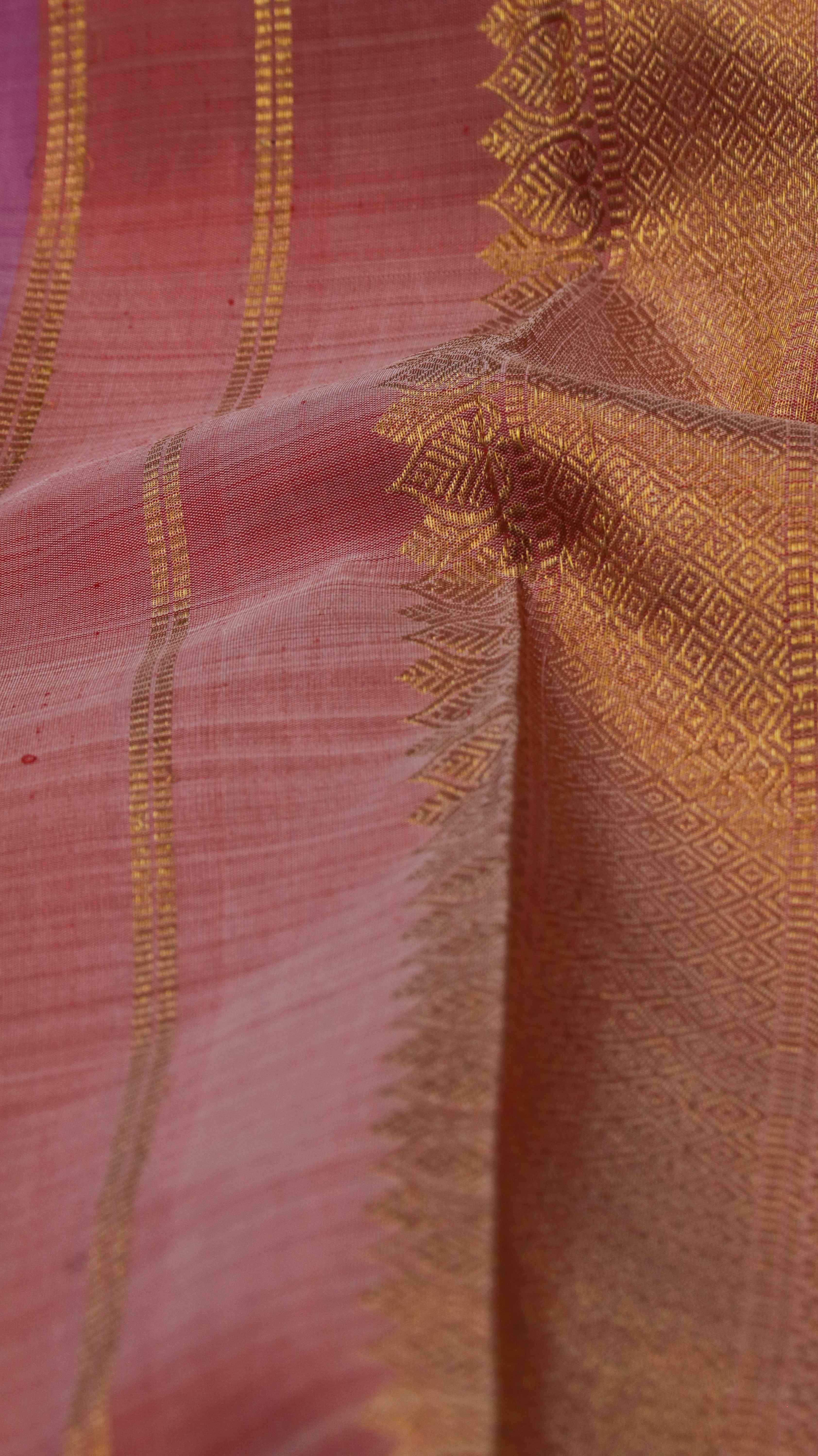 Gulabi Champa | Kanjivaram