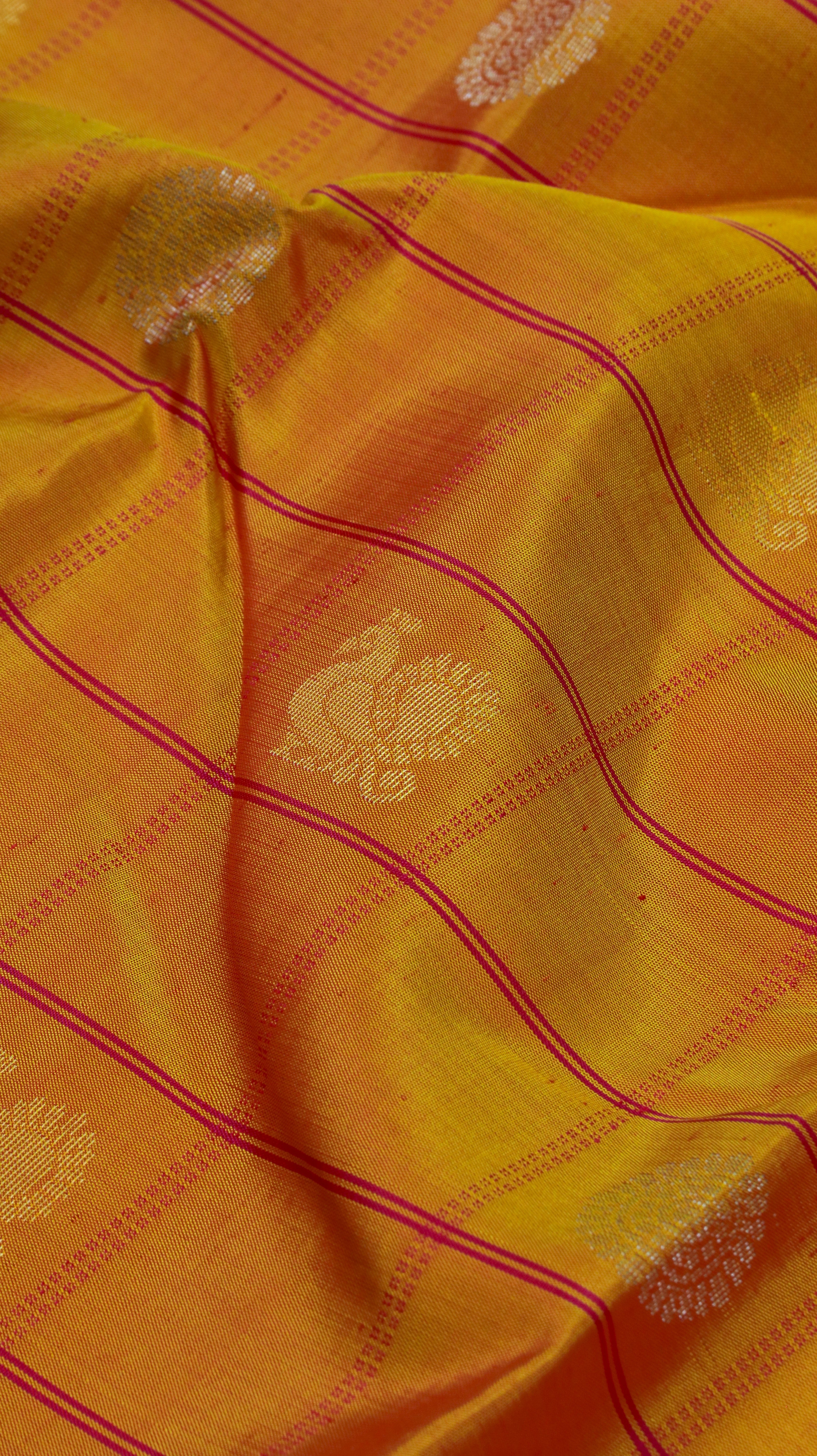Kalamanjari | Kanjivaram