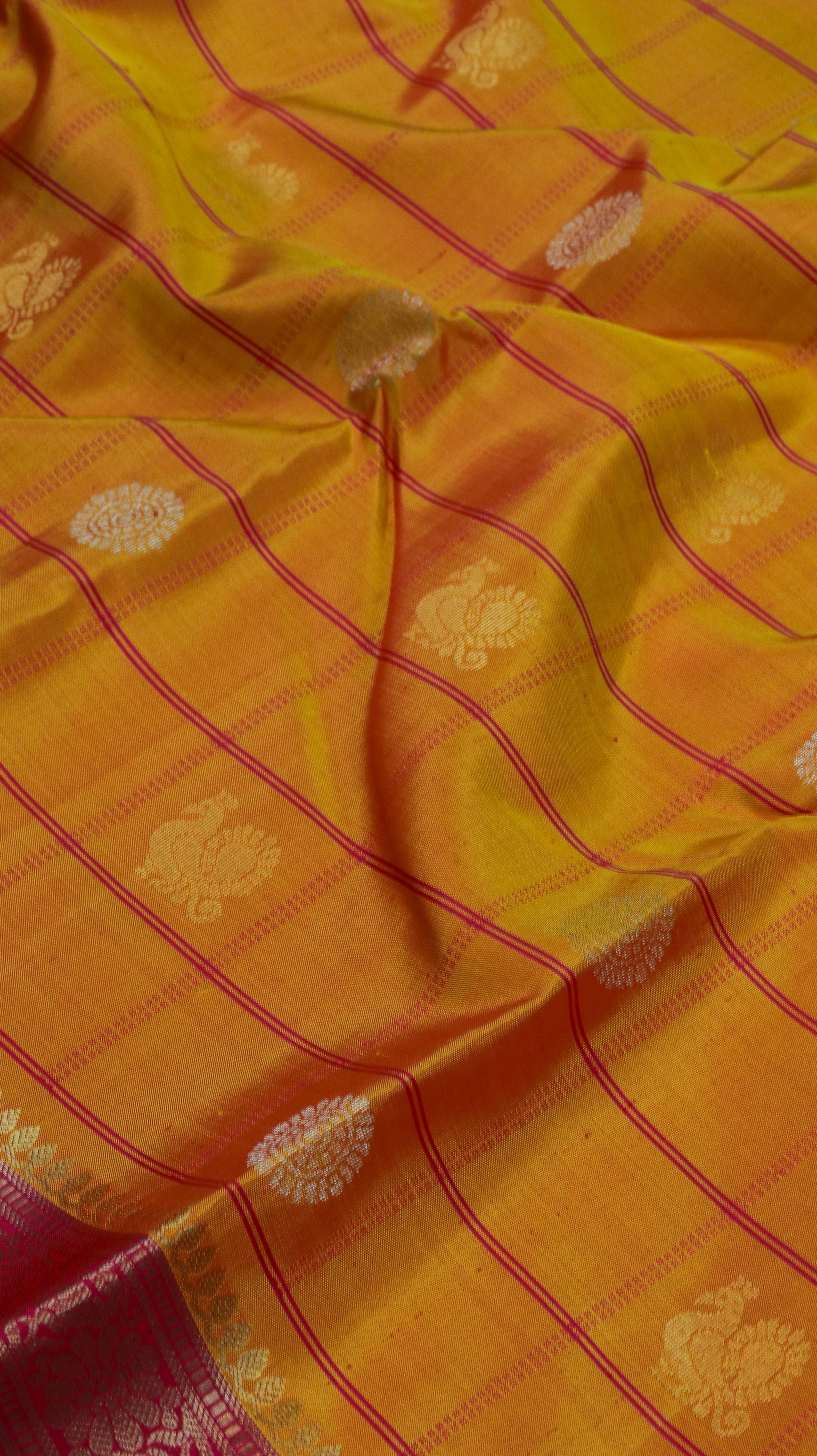 Kalamanjari | Kanjivaram
