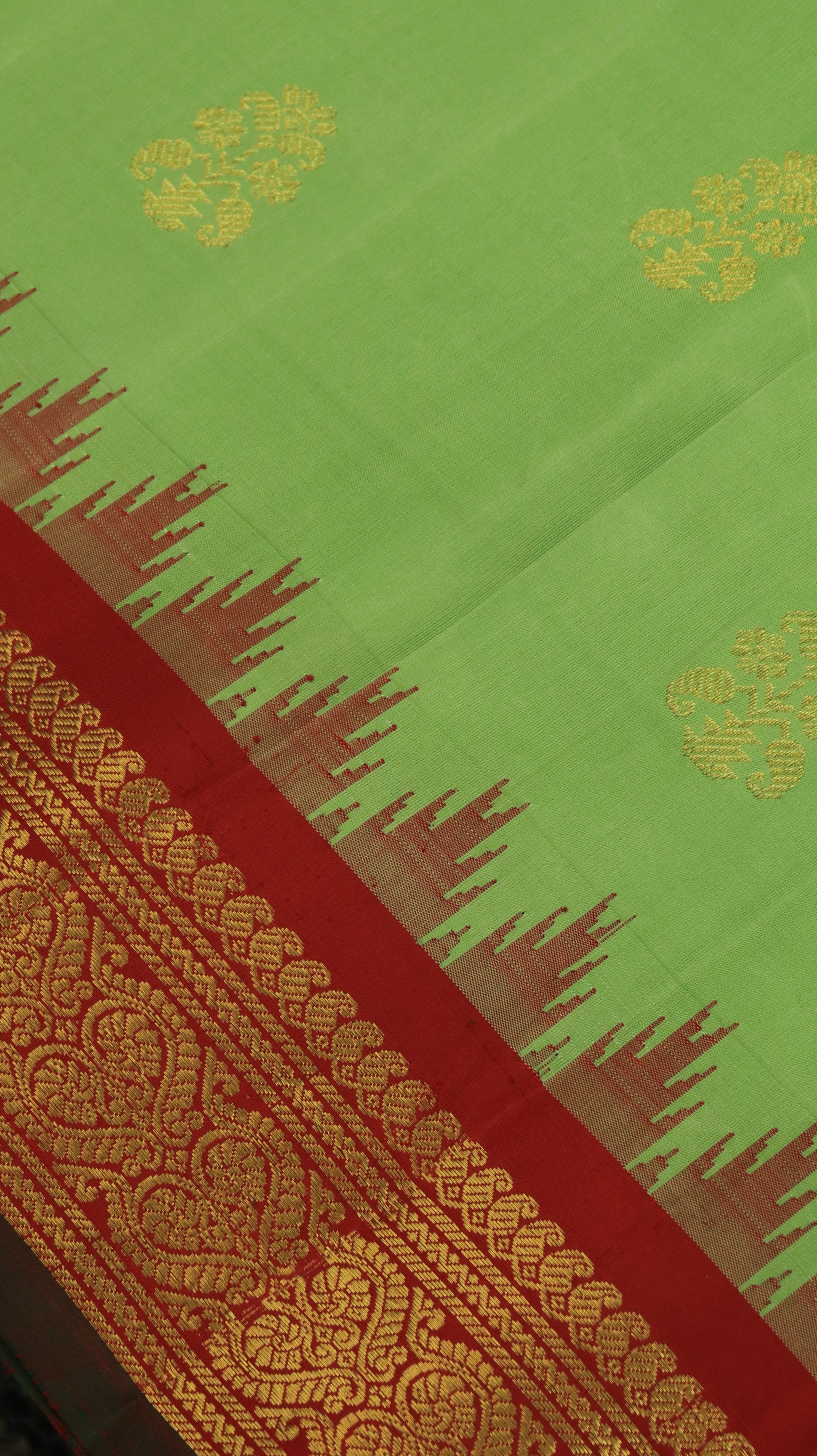 Green Symphony | Gadwal