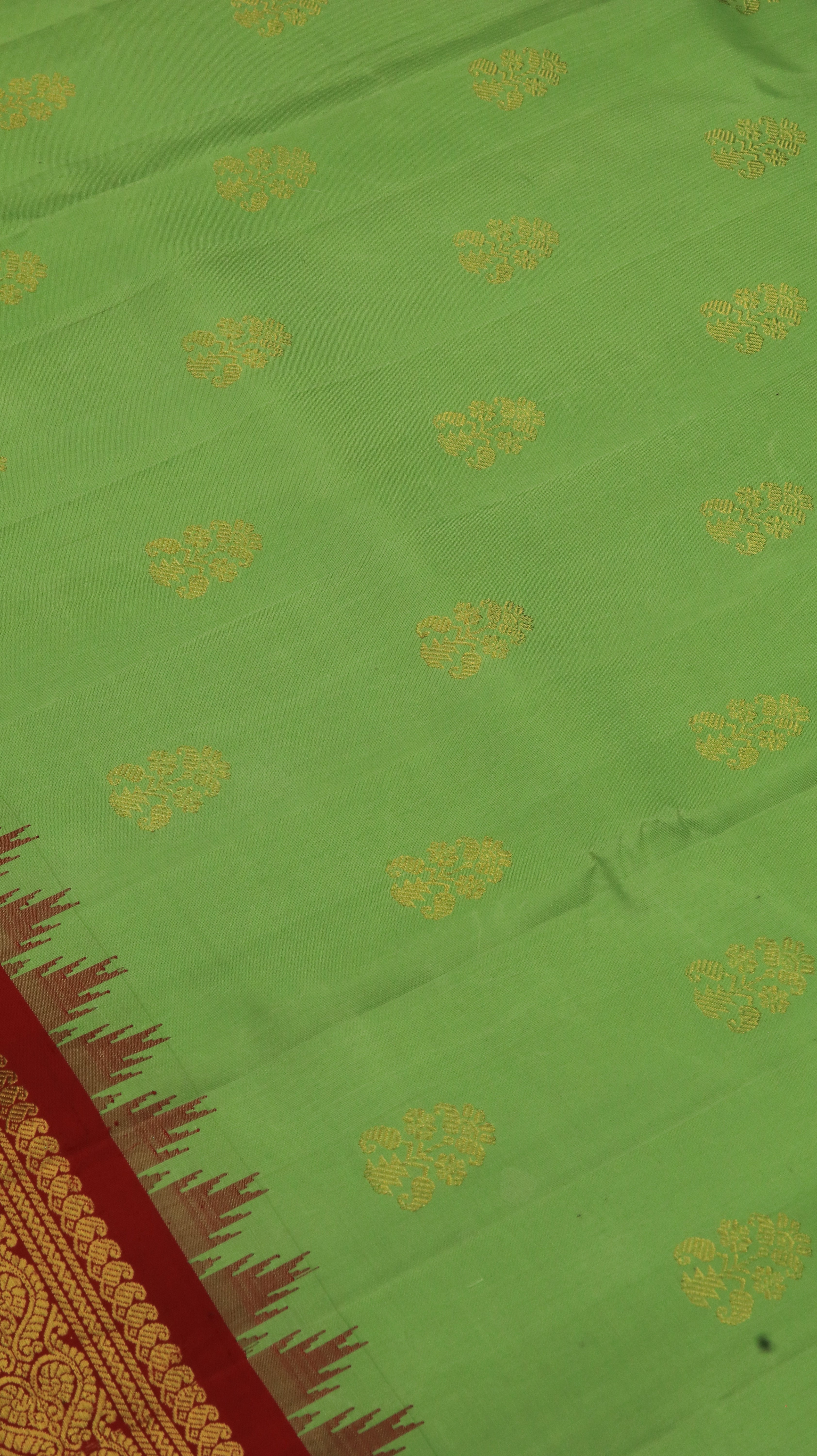 Green Symphony | Gadwal